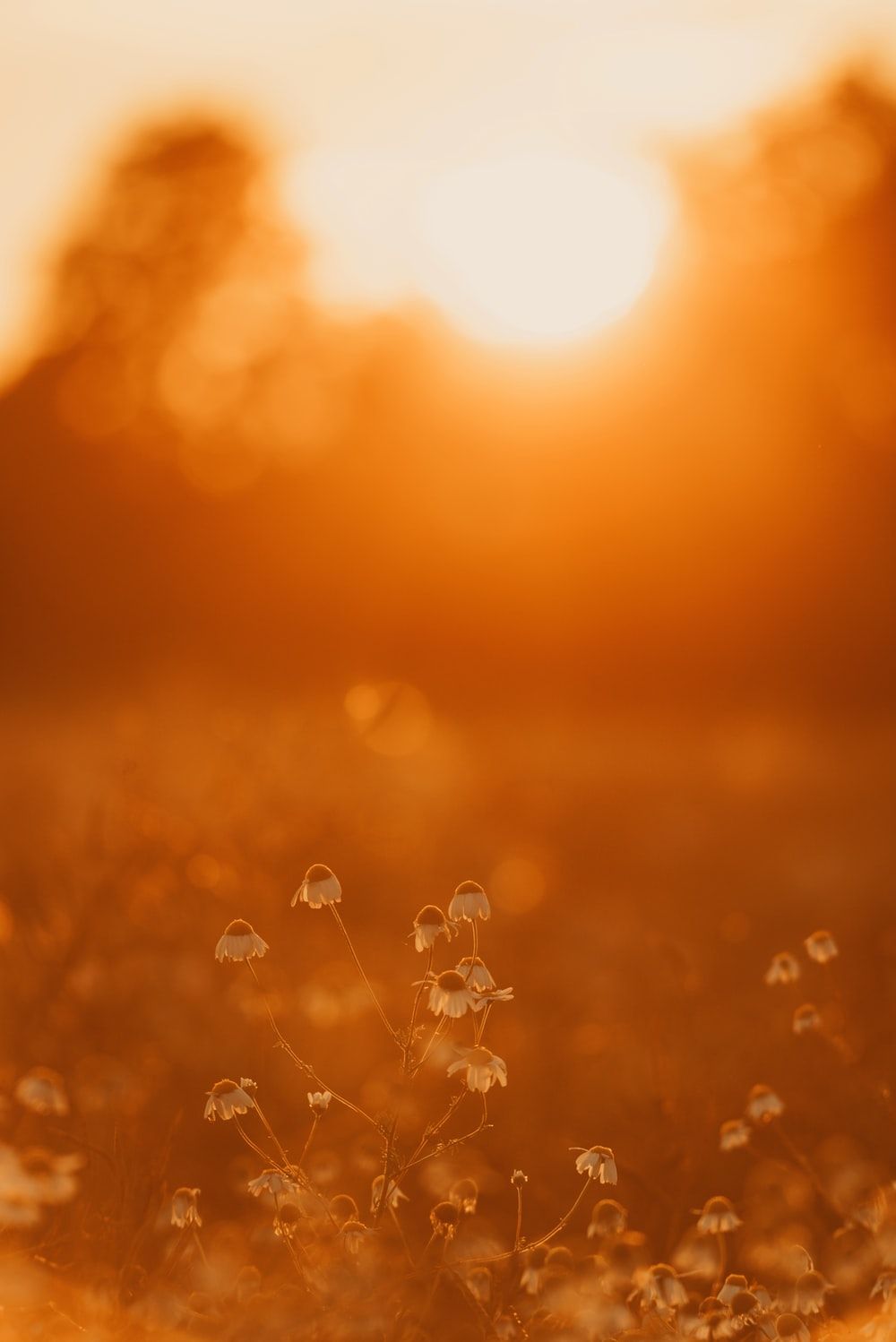 Warm Colors Wallpapers Wallpaper Cave