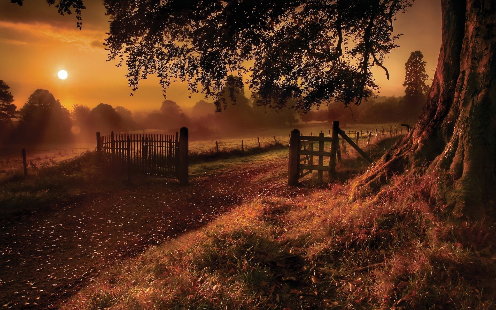 Warm Colors Wallpapers Wallpaper Cave