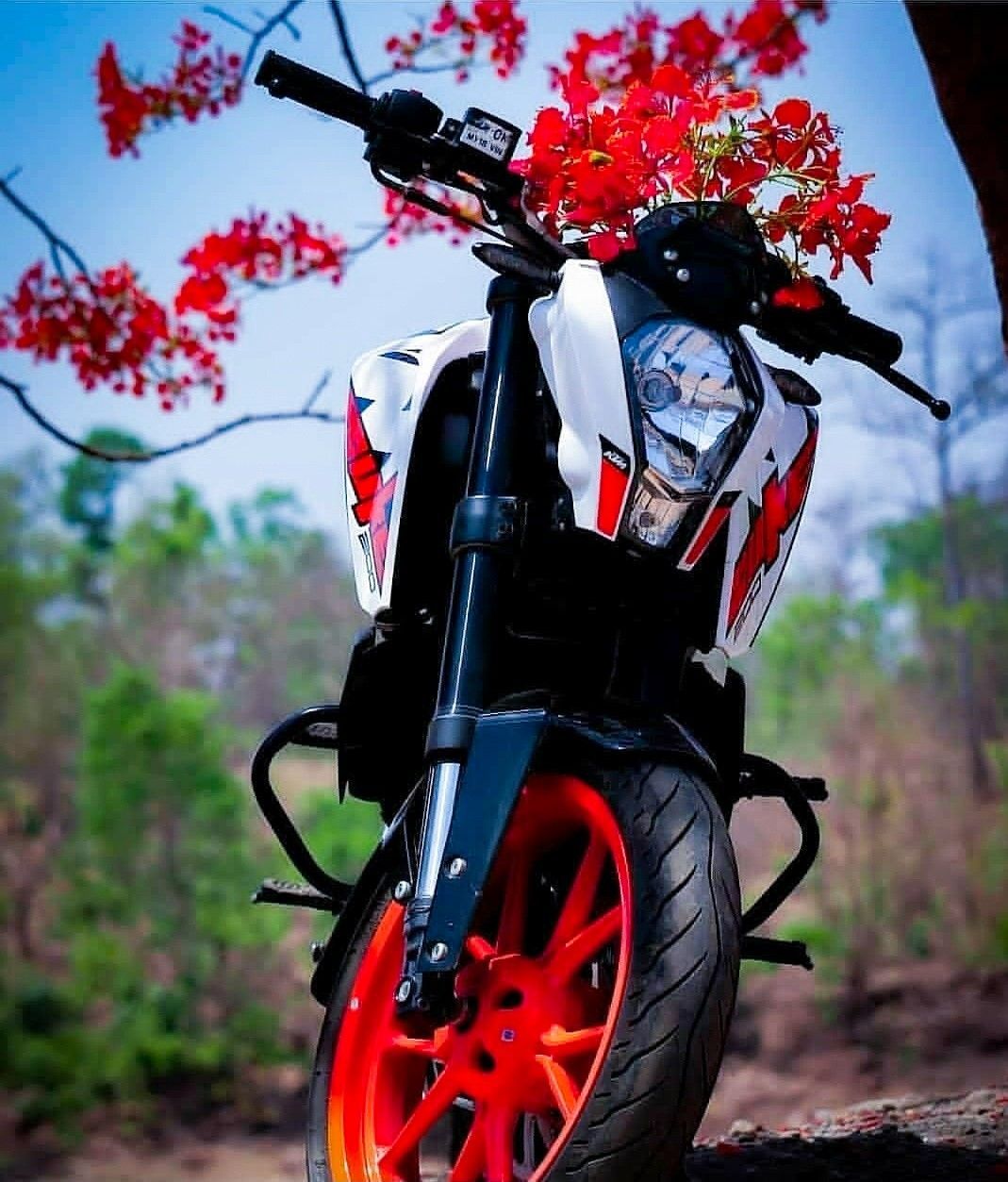 Bike Love Wallpapers Wallpaper Cave