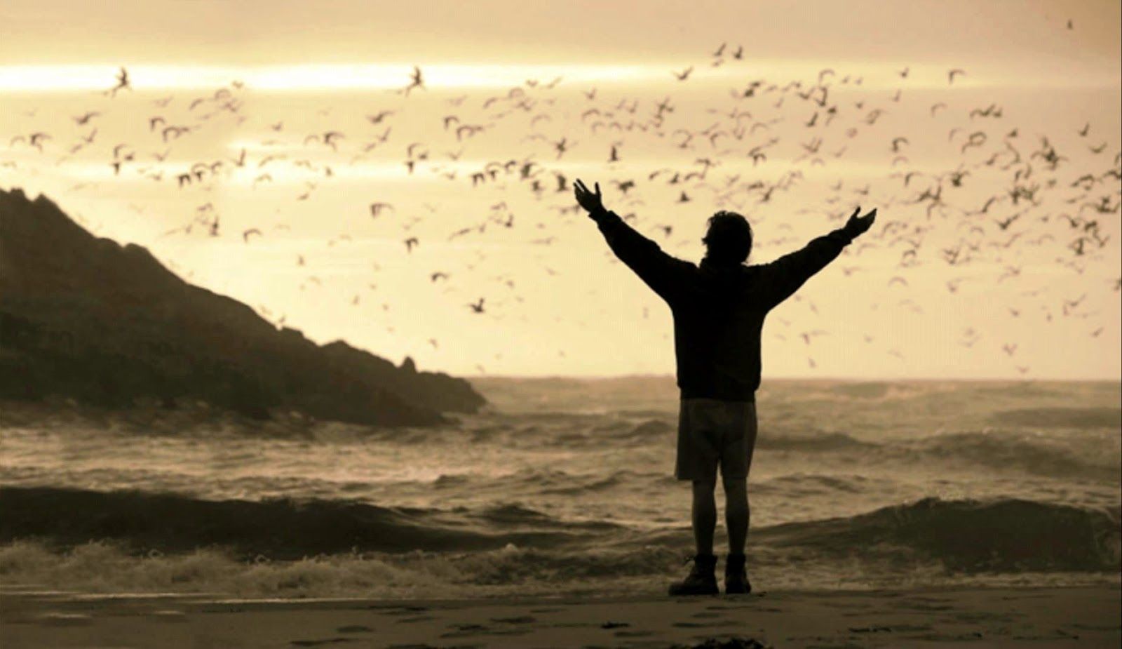 Into The Wild Computer Wallpapers Wallpaper Cave