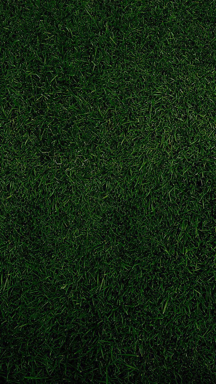 Olive Green Wallpapers Wallpaper Cave