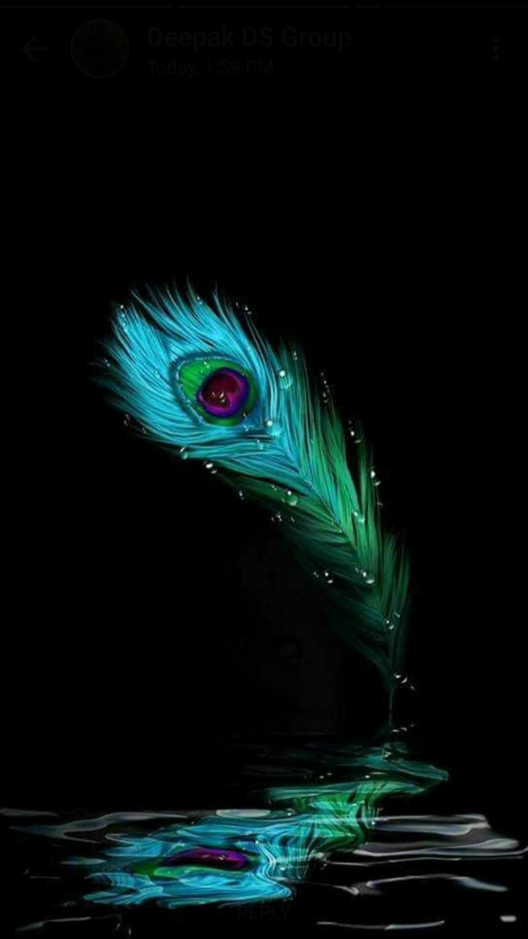 Flute And Peacock Feather Wallpapers Wallpaper Cave