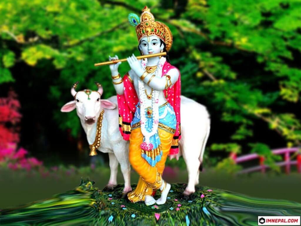Krishna With Cow Wallpapers Wallpaper Cave