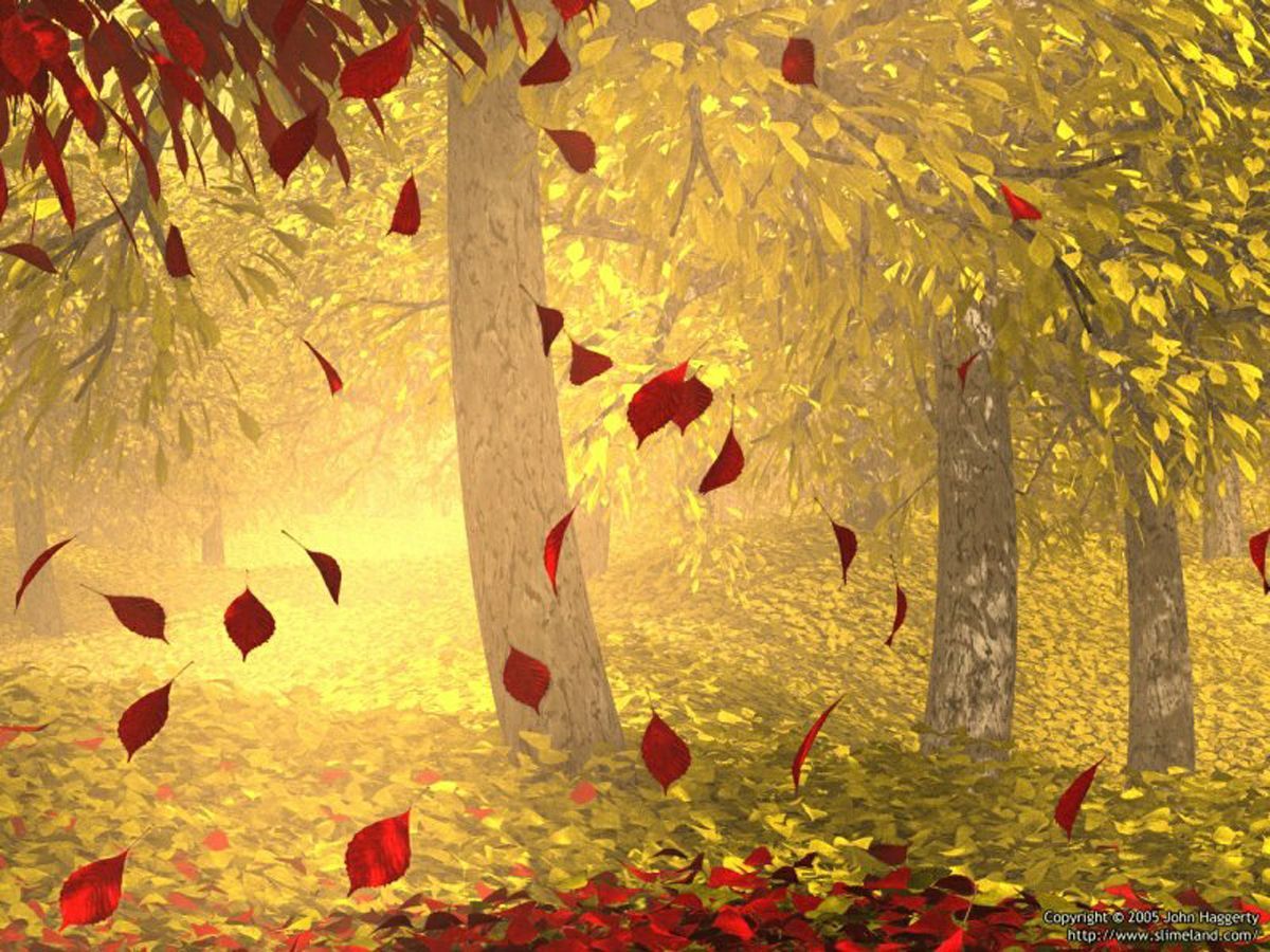 Abstract Autumn Leaves HD Wallpapers Wallpaper Cave