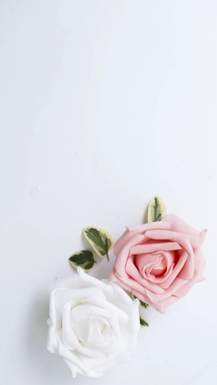 Minimalist Flower White Wallpapers Wallpaper Cave
