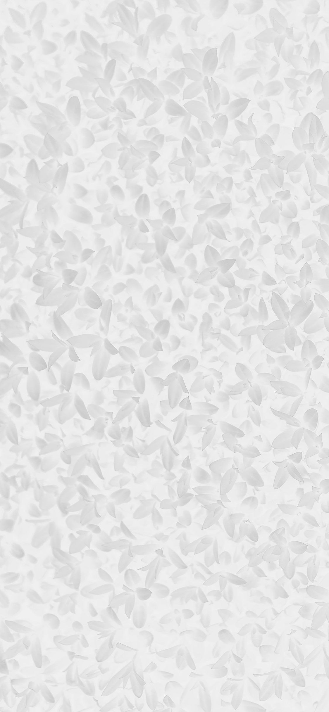 White Pattern Wallpapers Wallpaper Cave