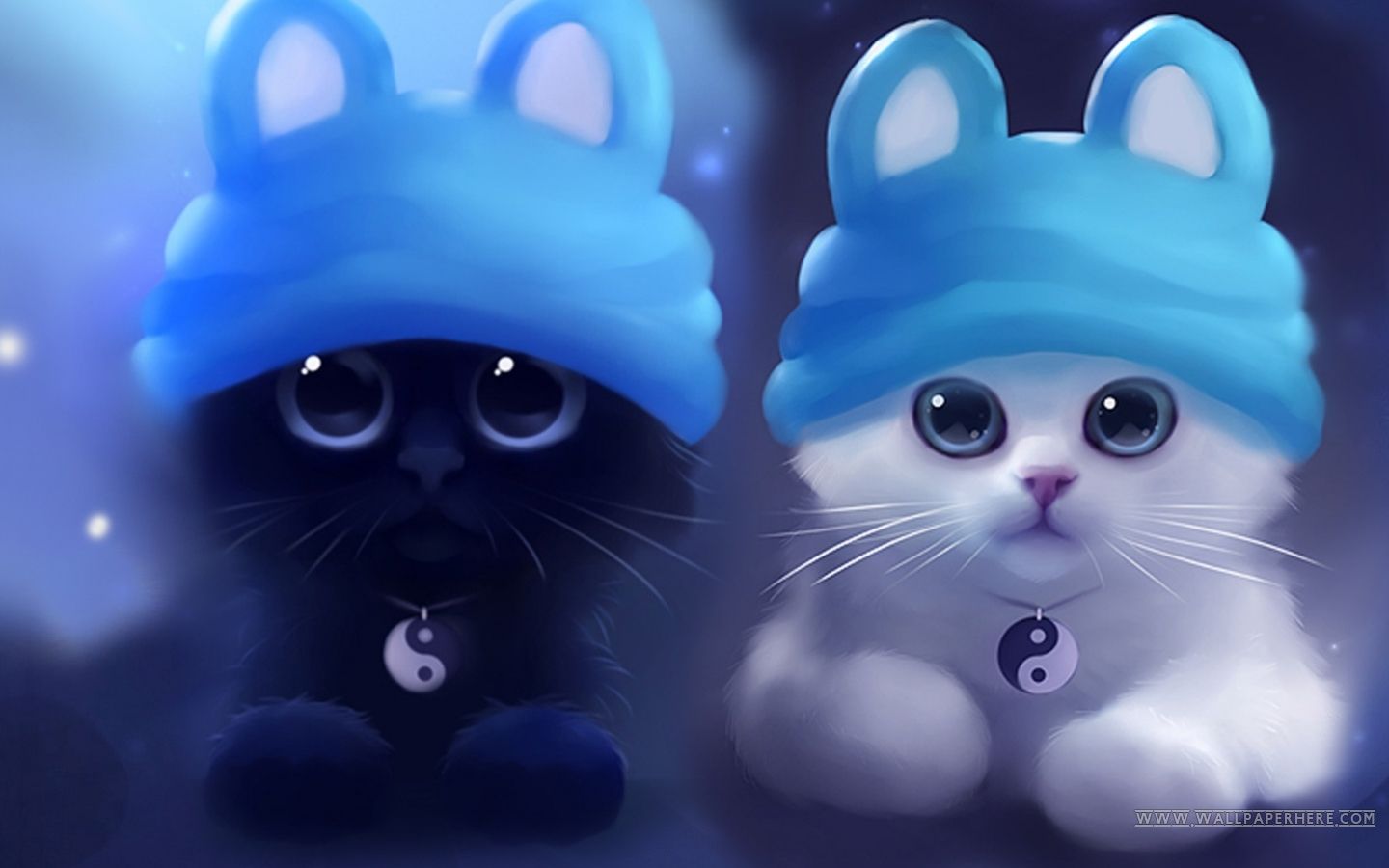 Blue Cat Wallpapers Wallpaper Cave