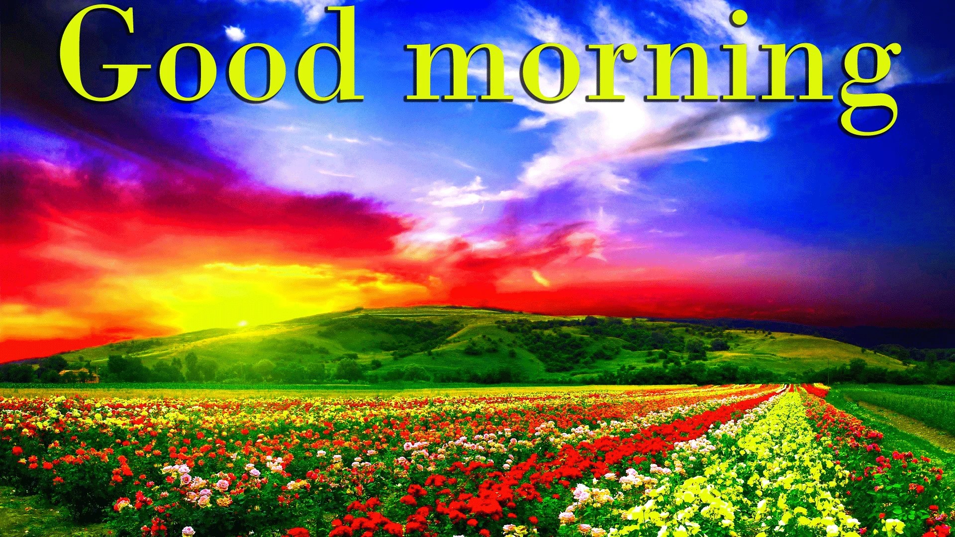 Good Morning Wallpapers Download Wallpaper Cave