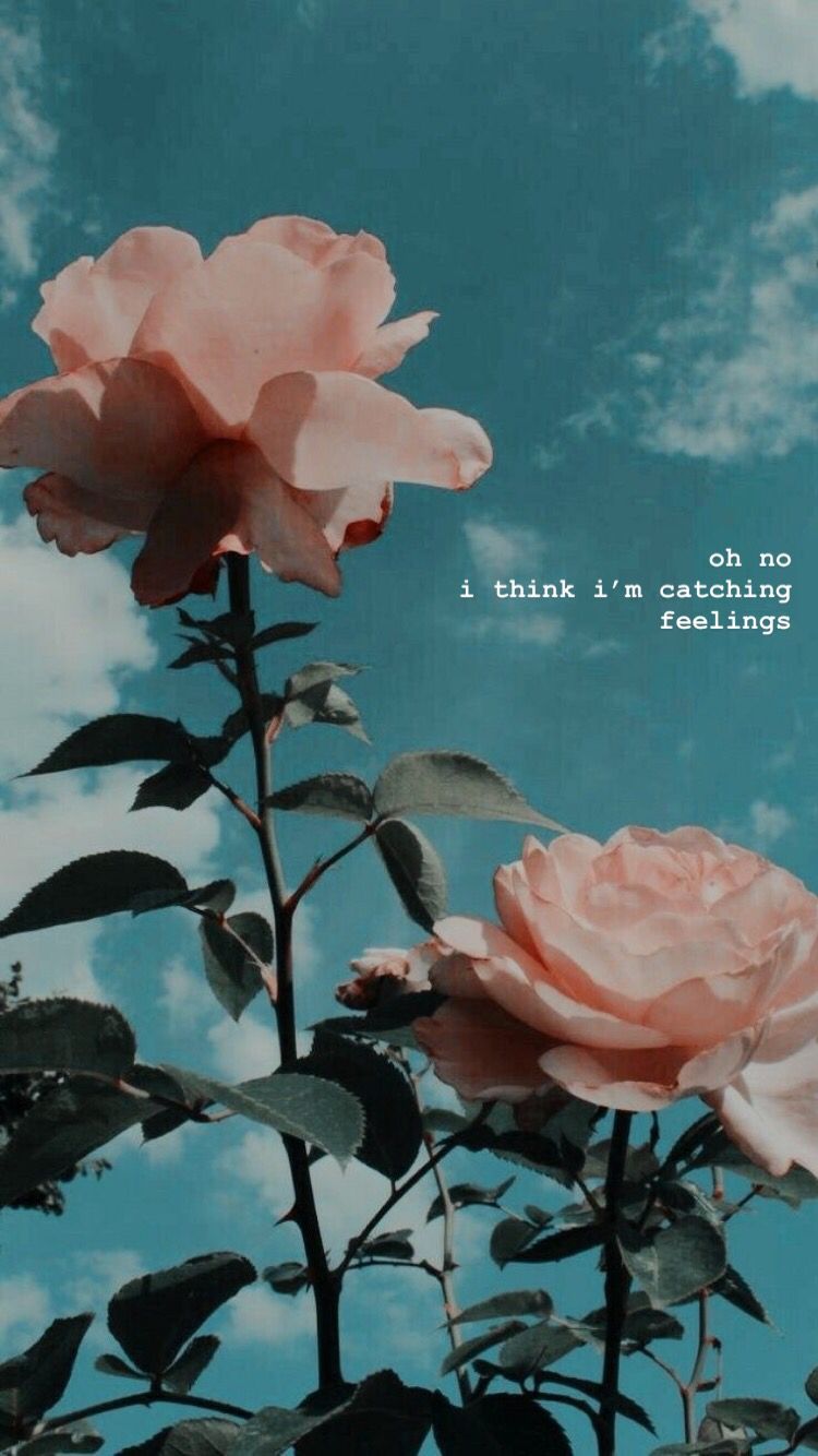 747 Vintage Wallpaper Iphone Aesthetic Pictures My