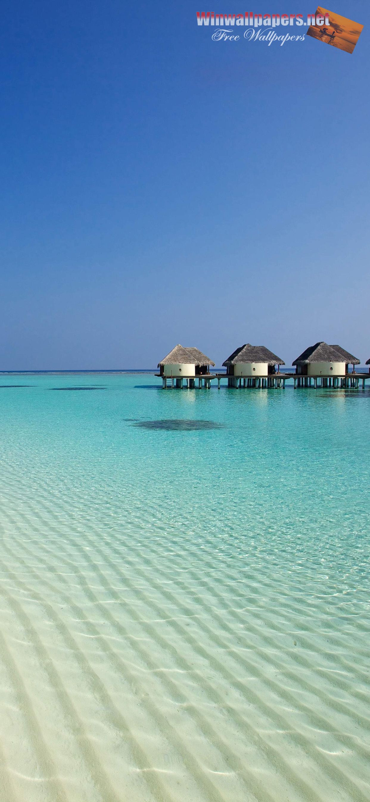 4k iPhone 11 Pro Max Beach Wallpapers Wallpaper Cave