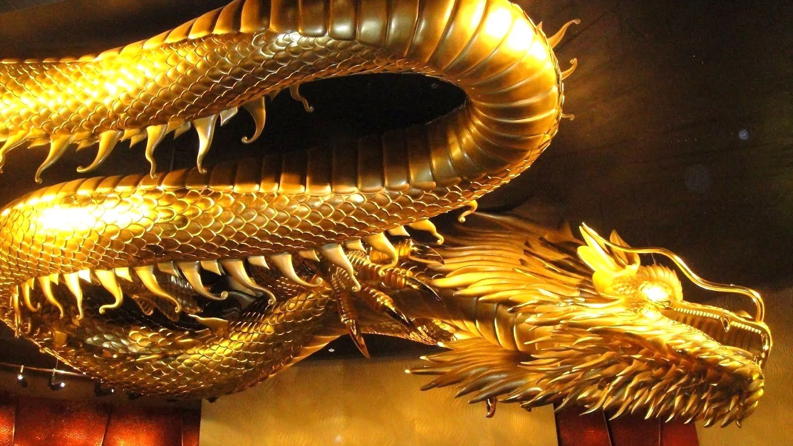 Golden Dragon Wallpapers Wallpaper Cave