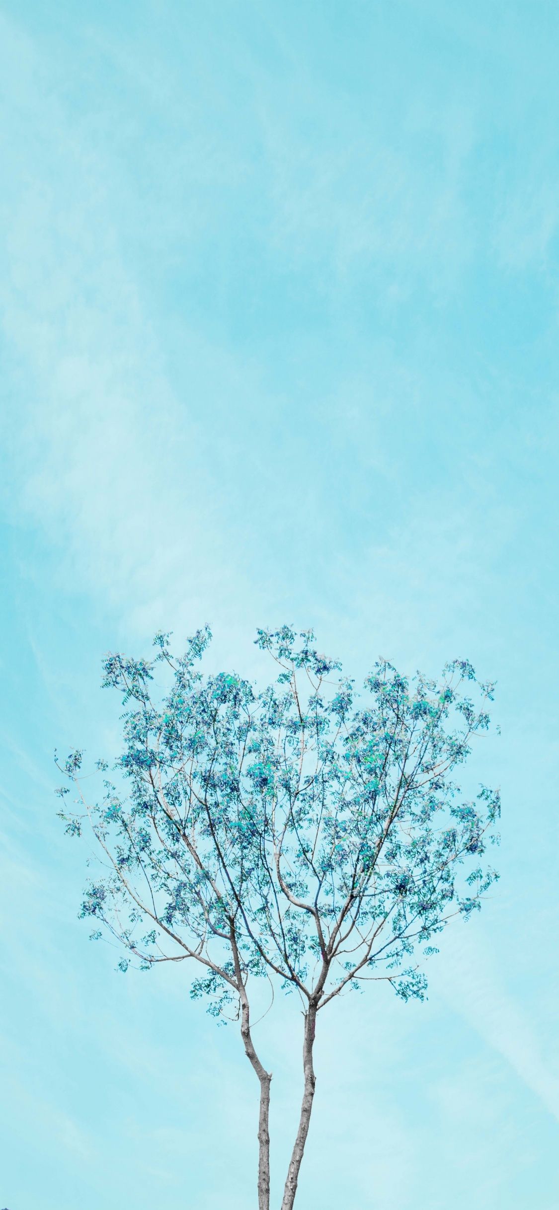 Minimalist Blue Wallpapers Wallpaper Cave