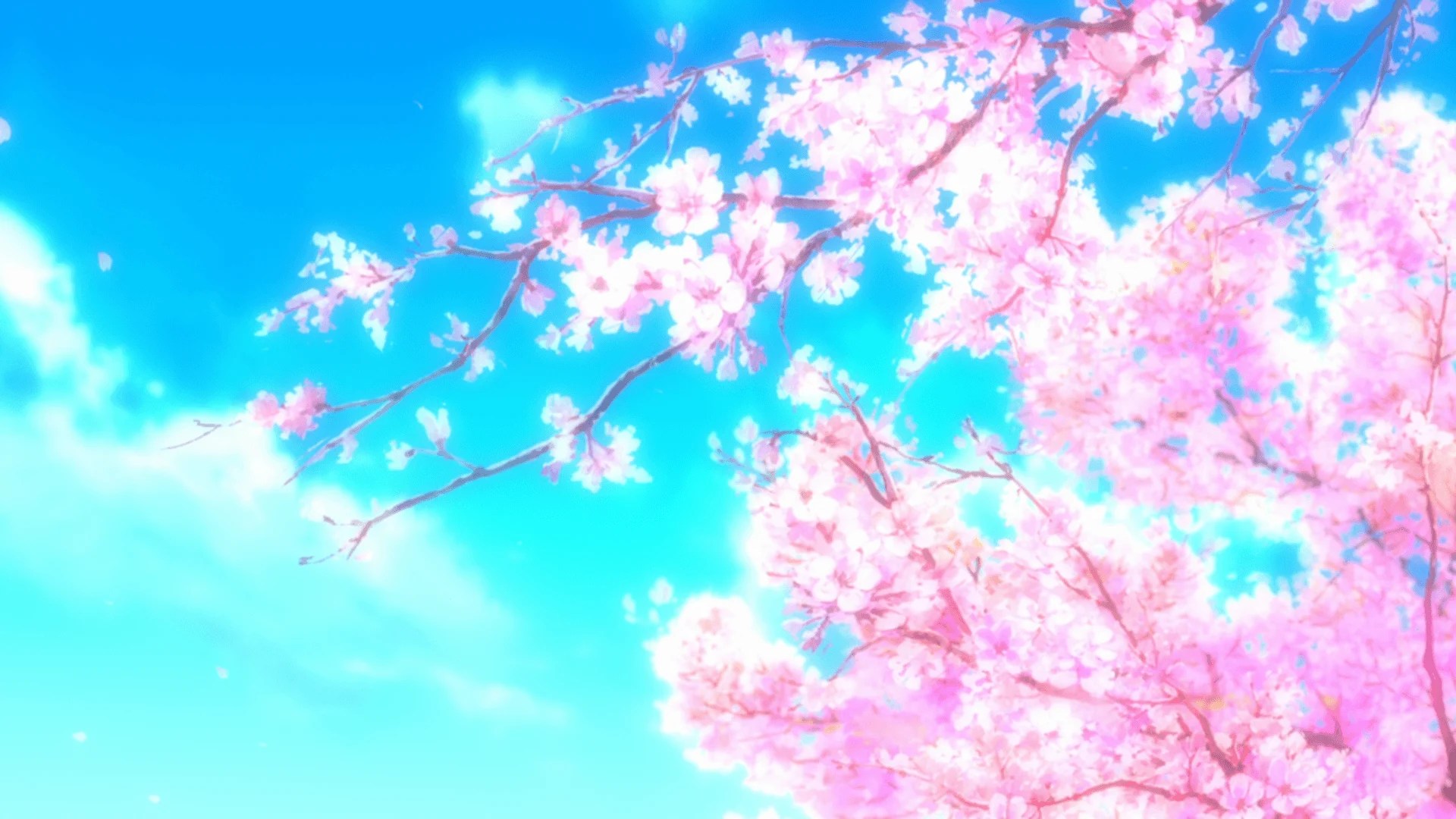 Anime Flower Tree Wallpapers Wallpaper Cave