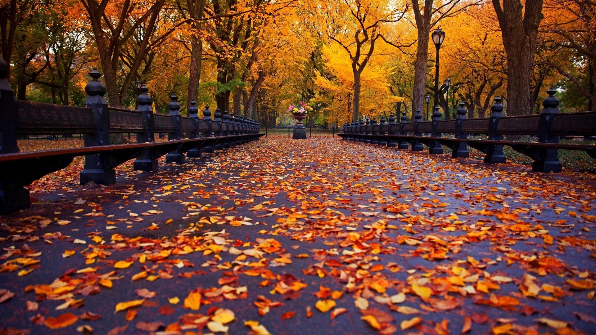 Cute Autumn Pictures Wallpapers Wallpaper Cave