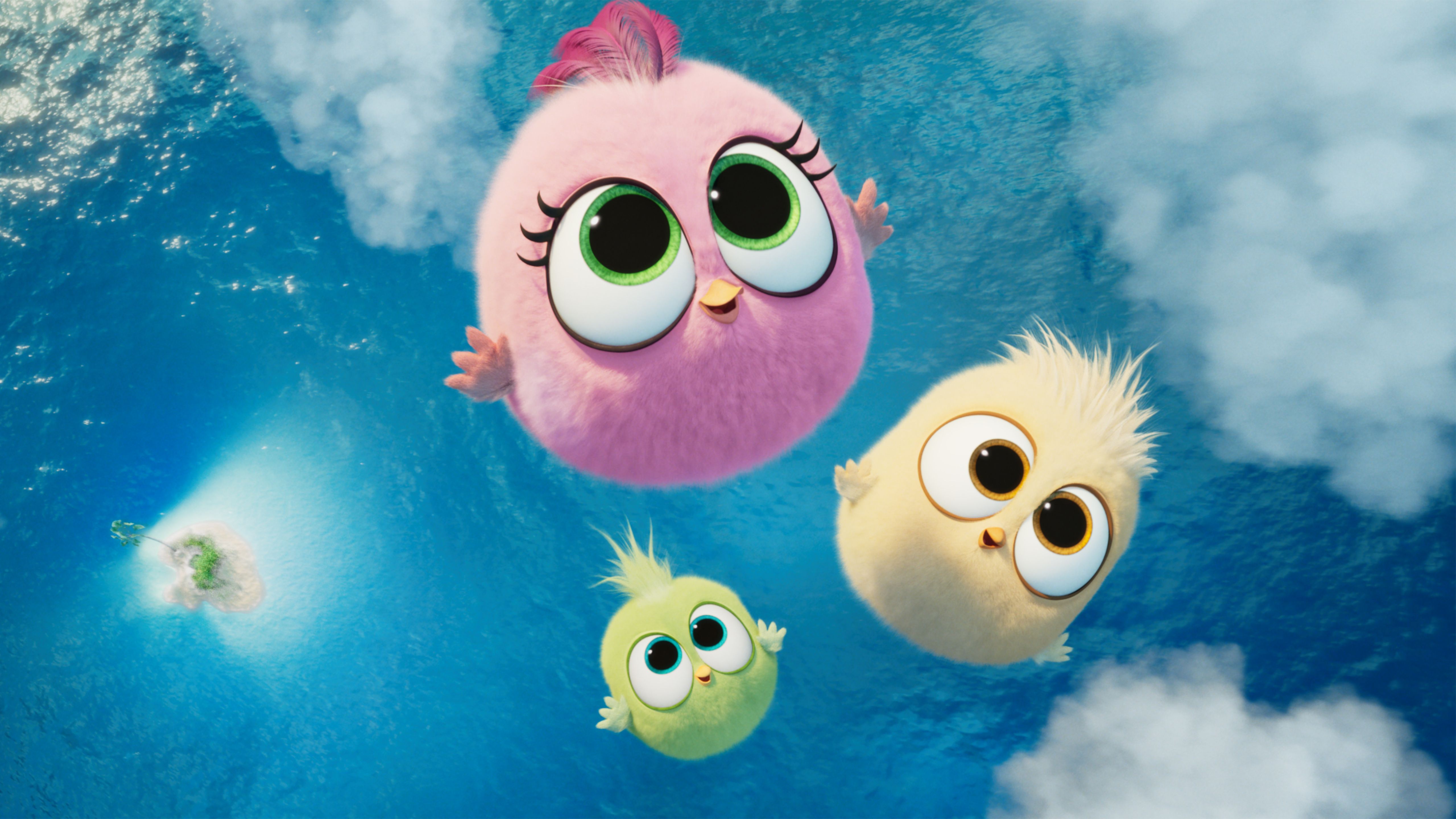 Angry Birds Cute Wallpapers Wallpaper Cave