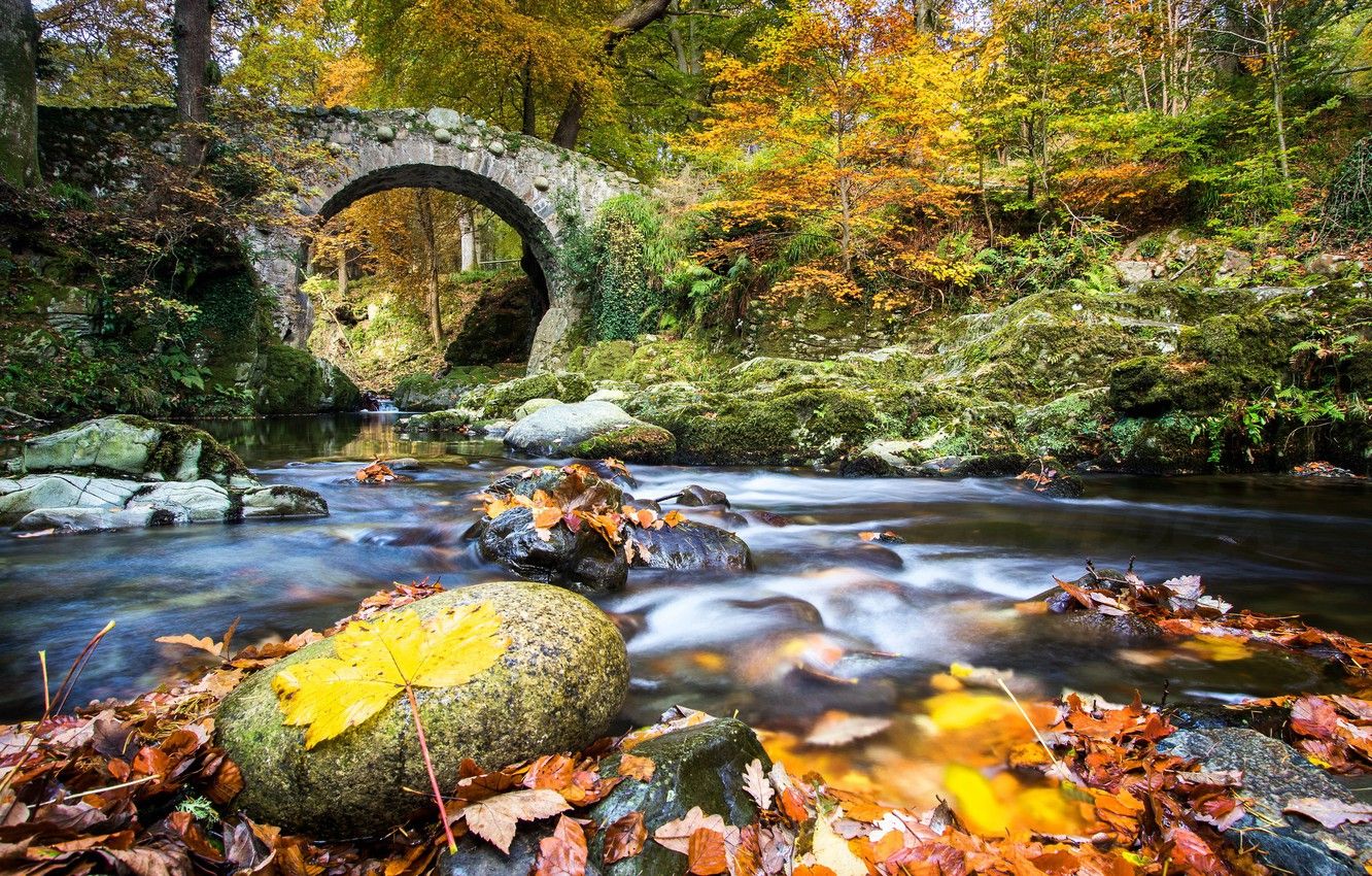 Autumn Ireland Wallpapers Wallpaper Cave