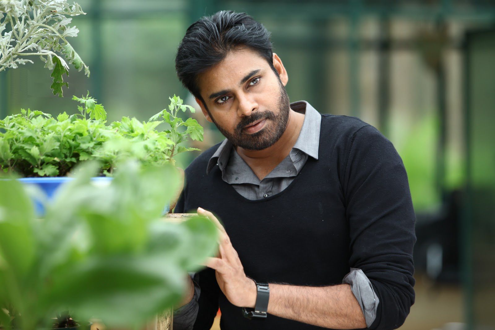 Pawan Kalyan HD Wallpapers Wallpaper Cave