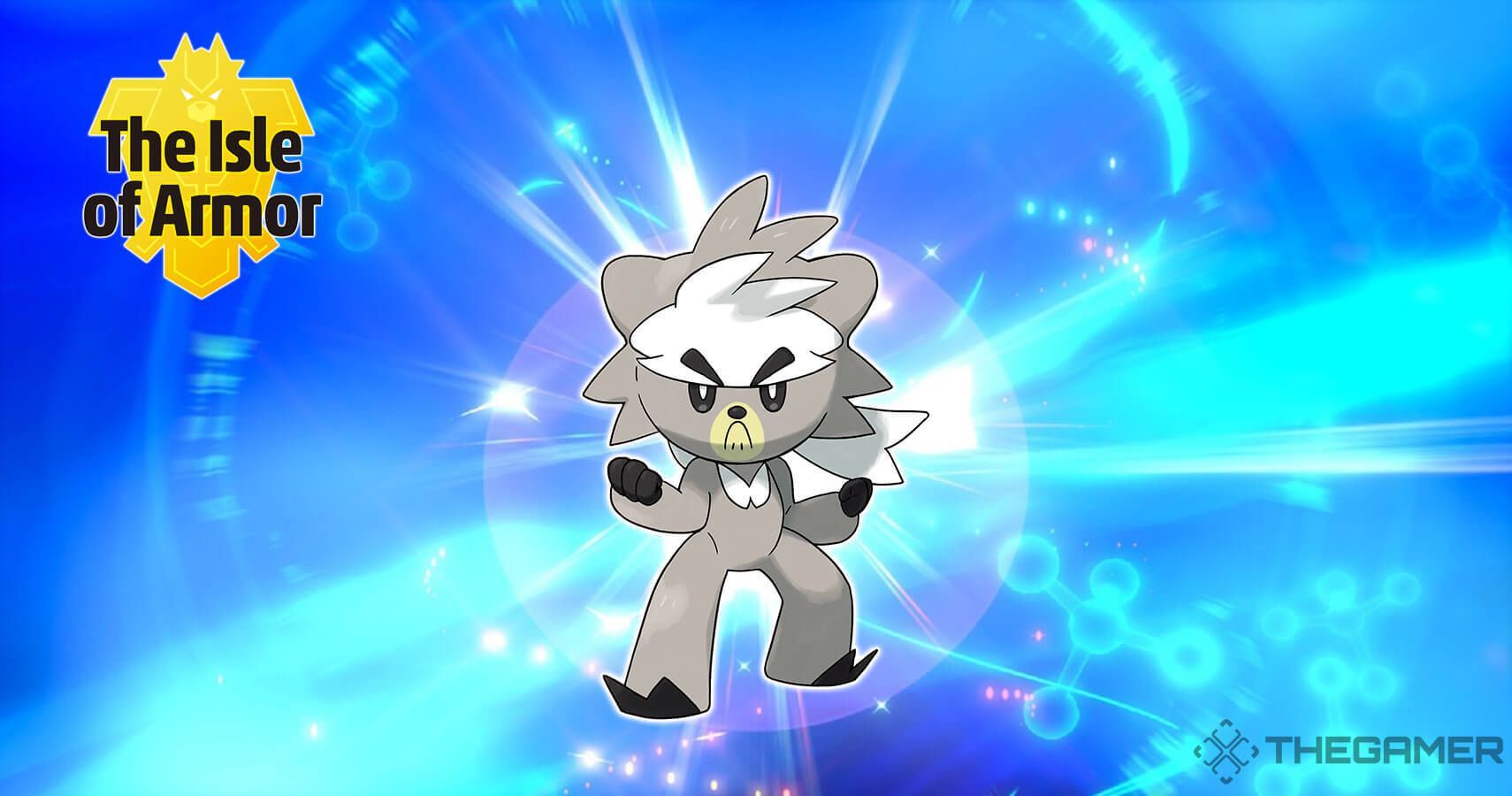 Kubfu Wallpapers Wallpaper Cave