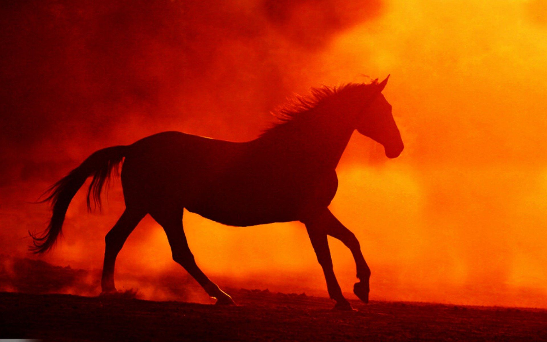 Red Horse Wallpapers Wallpaper Cave