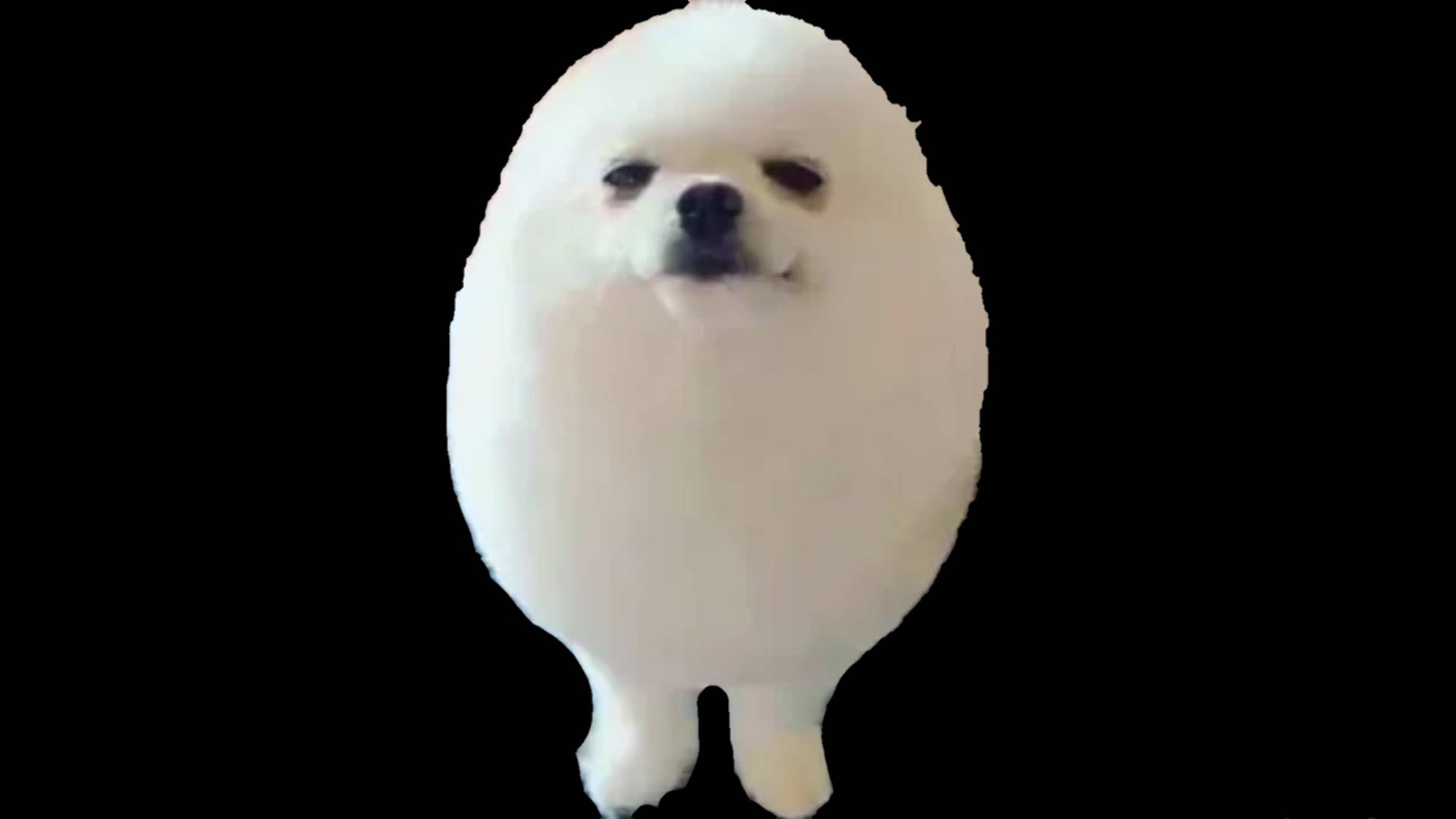 Eggdog Wallpapers Wallpaper Cave