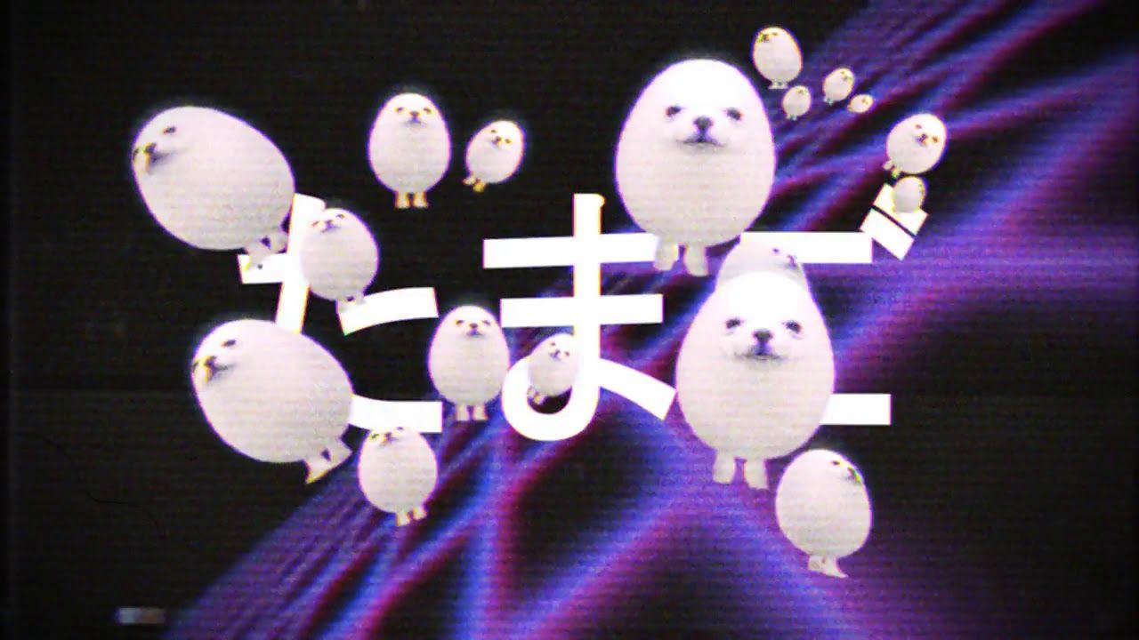 Eggdog Wallpapers Wallpaper Cave