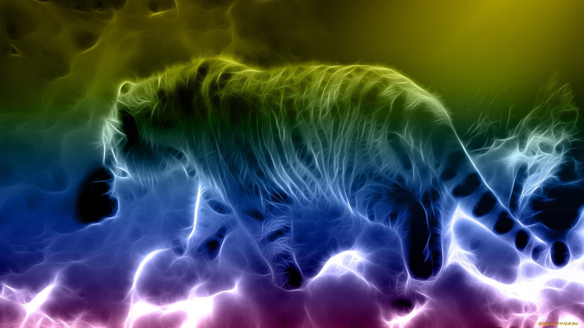 Rainbow Tiger Wallpapers Wallpaper Cave