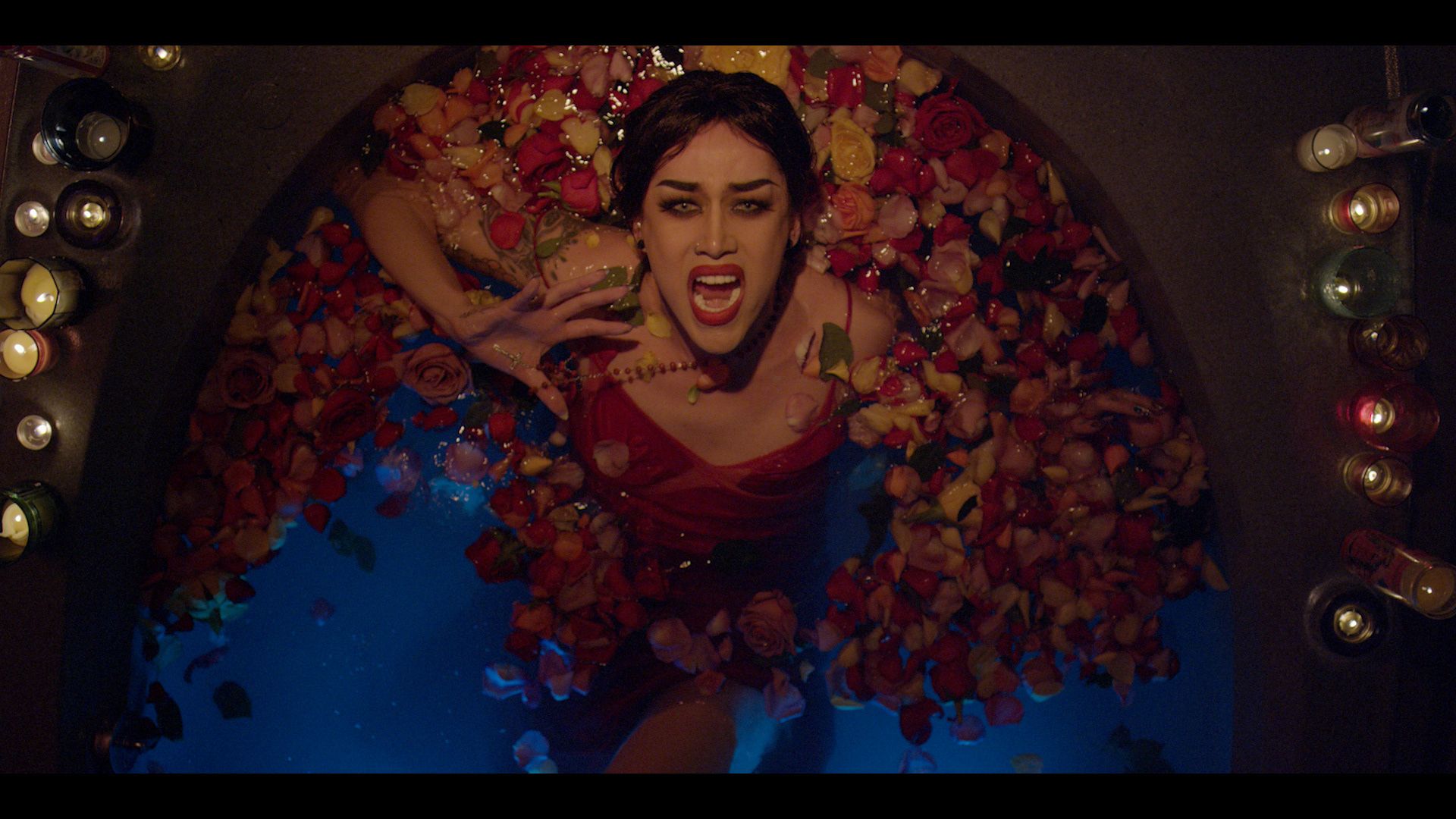 Adore Delano Wallpapers Wallpaper Cave