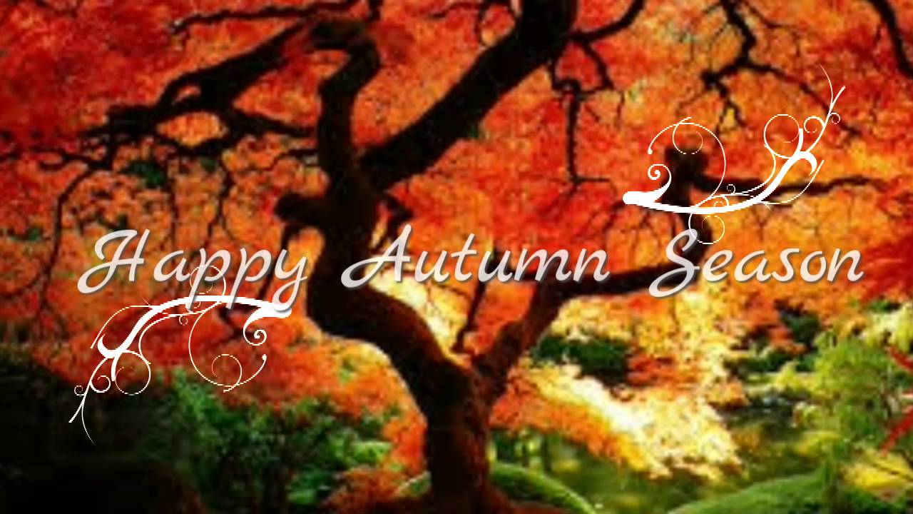 Happy Fall Y'all Signs Quotes, Printable Pictures, Fall Images.