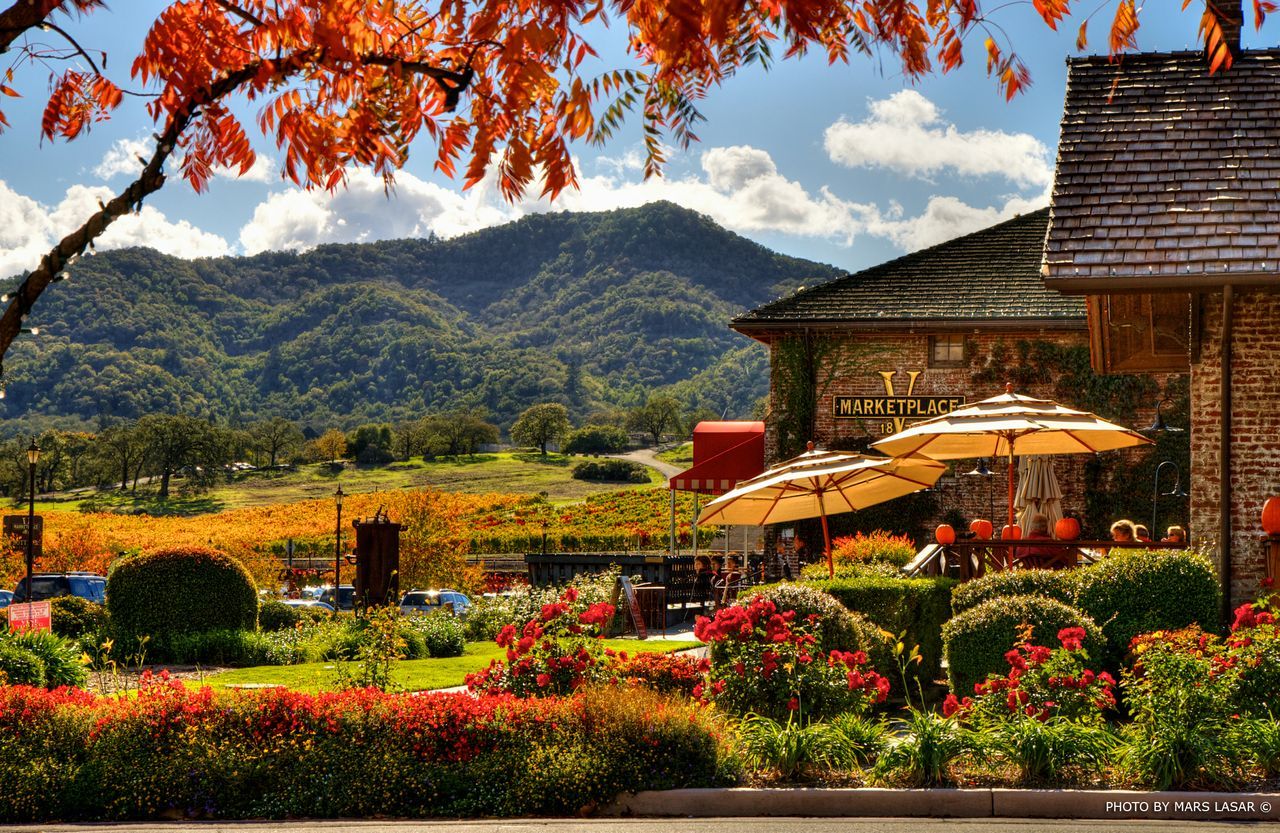 Napa Valley Wallpapers Wallpaper Cave