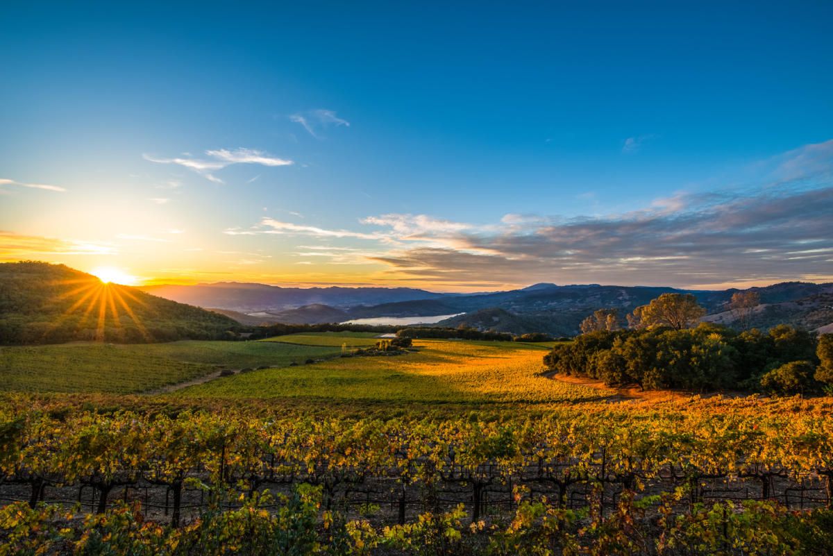 Napa Valley Wallpapers Wallpaper Cave
