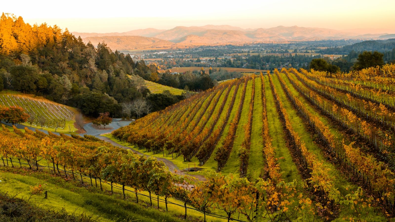 Napa Valley Wallpapers Wallpaper Cave