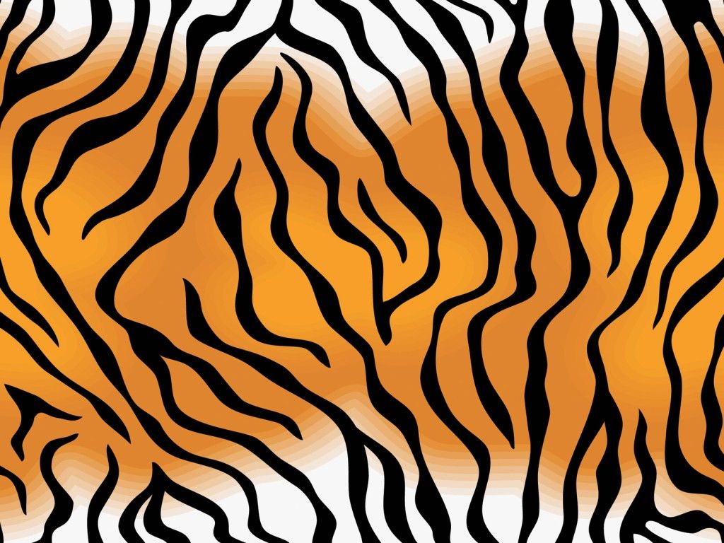 Colored Tiger Wallpapers Wallpaper Cave