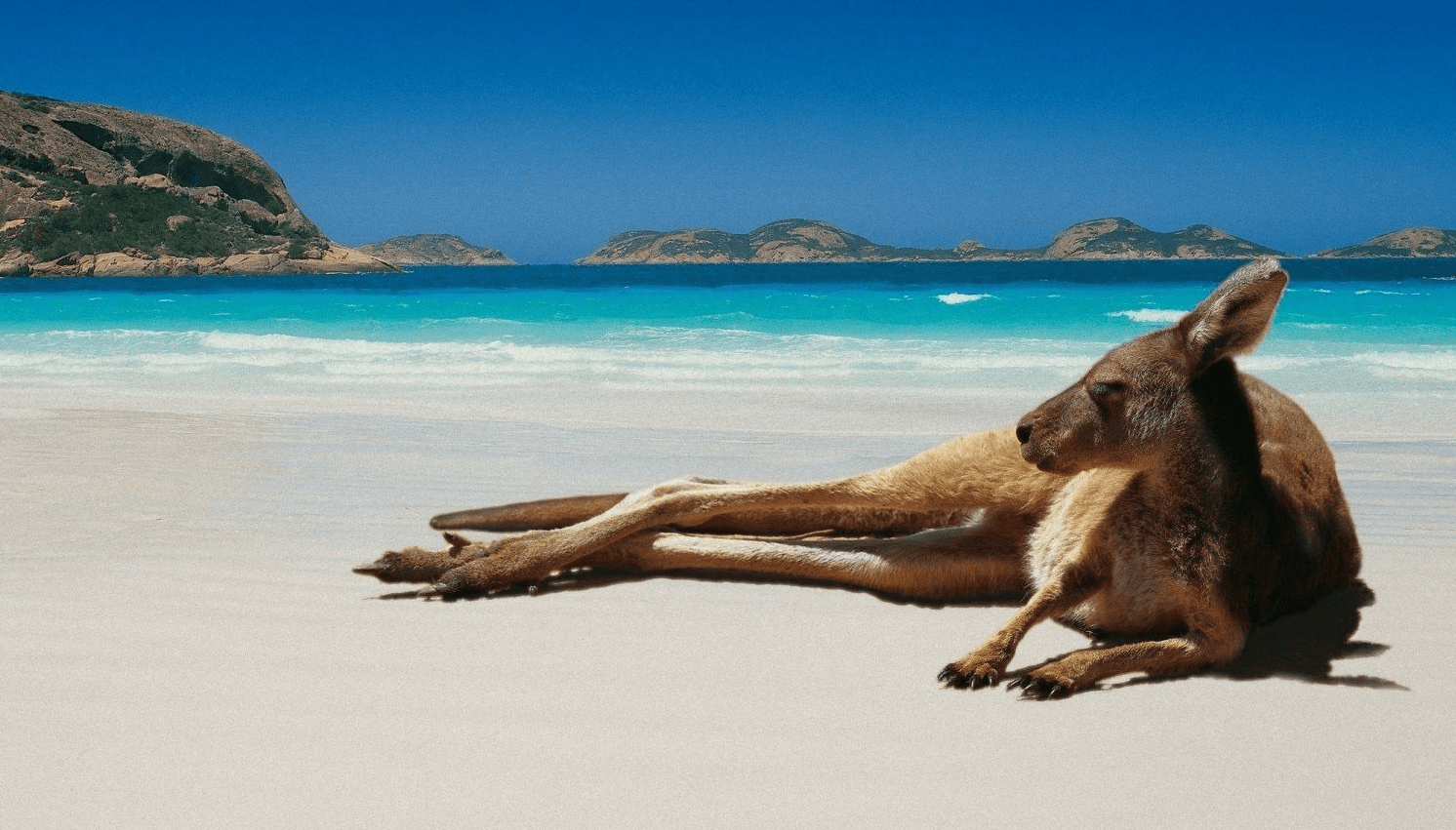 Australia Beach Wallpapers Wallpaper Cave