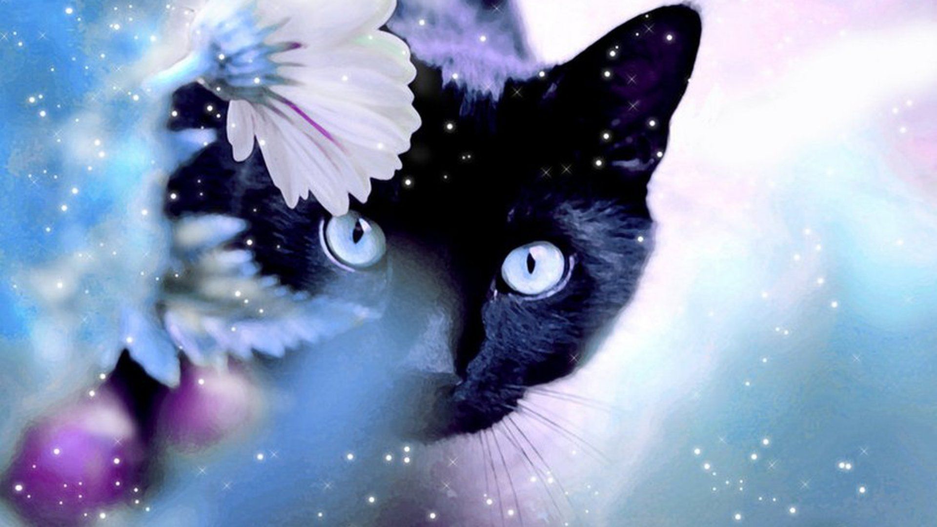 Magical Cats Wallpapers Wallpaper Cave