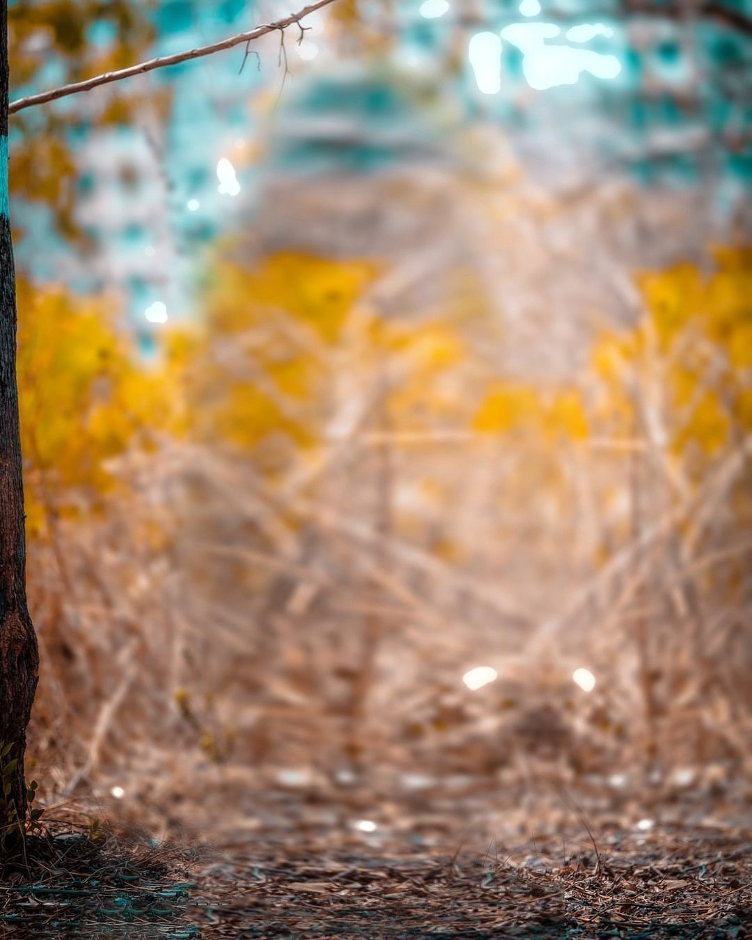 CB Blur Wallpapers Wallpaper Cave