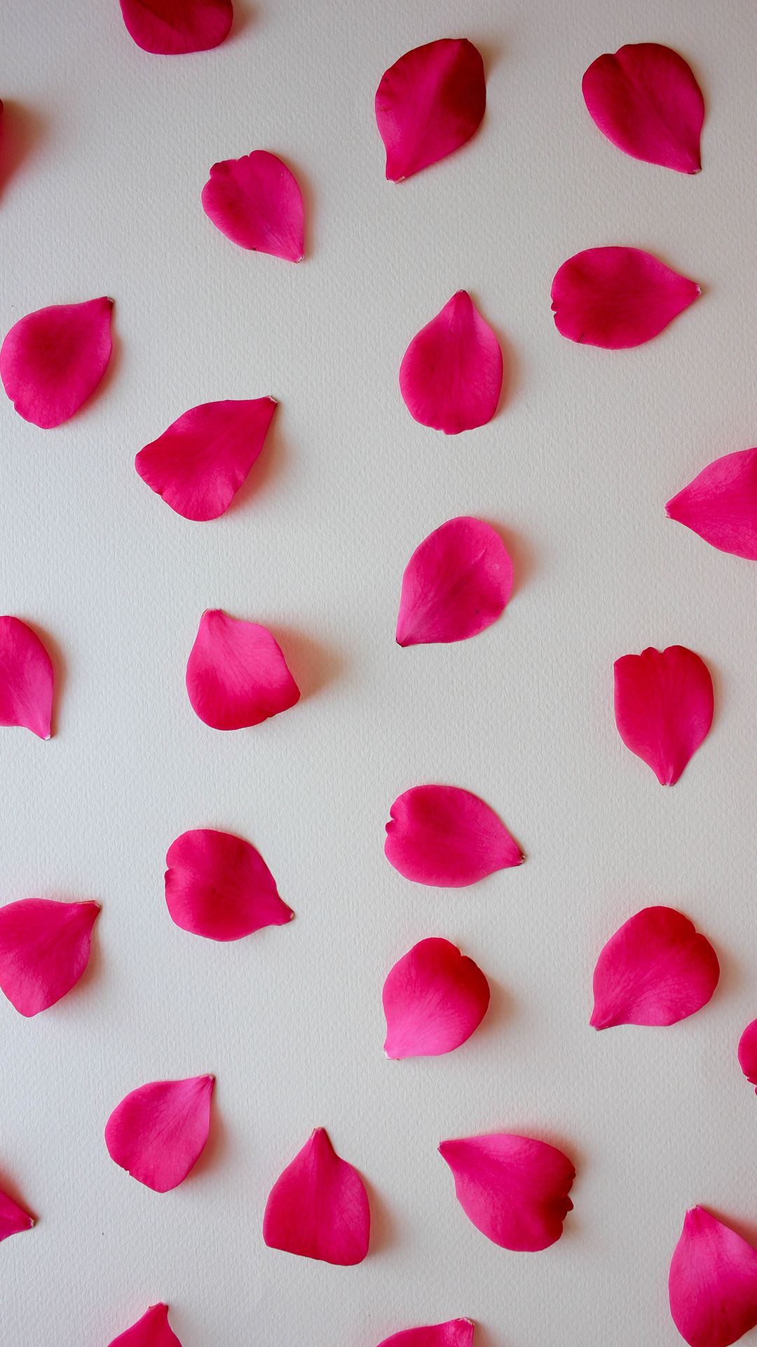Rose Petals Wallpapers Wallpaper Cave
