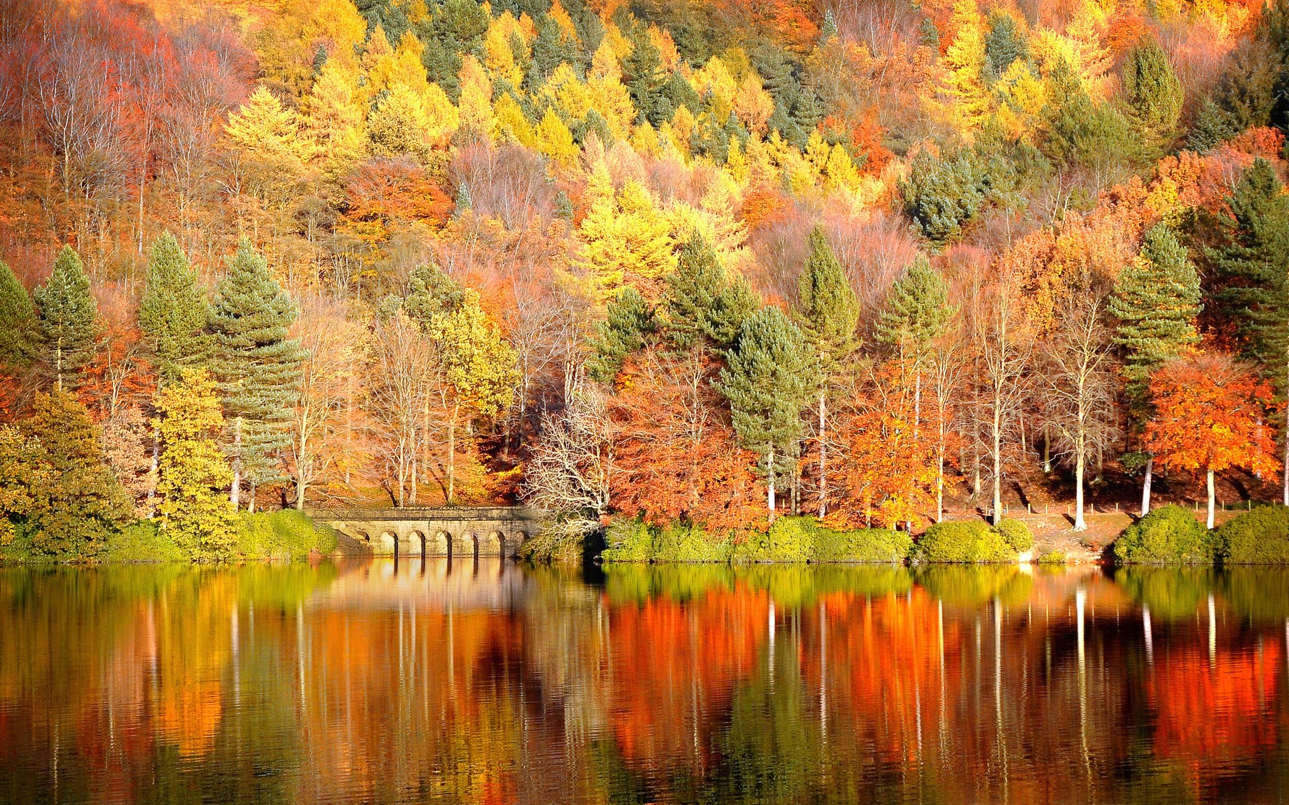 Windows Autumn Wallpapers Wallpaper Cave