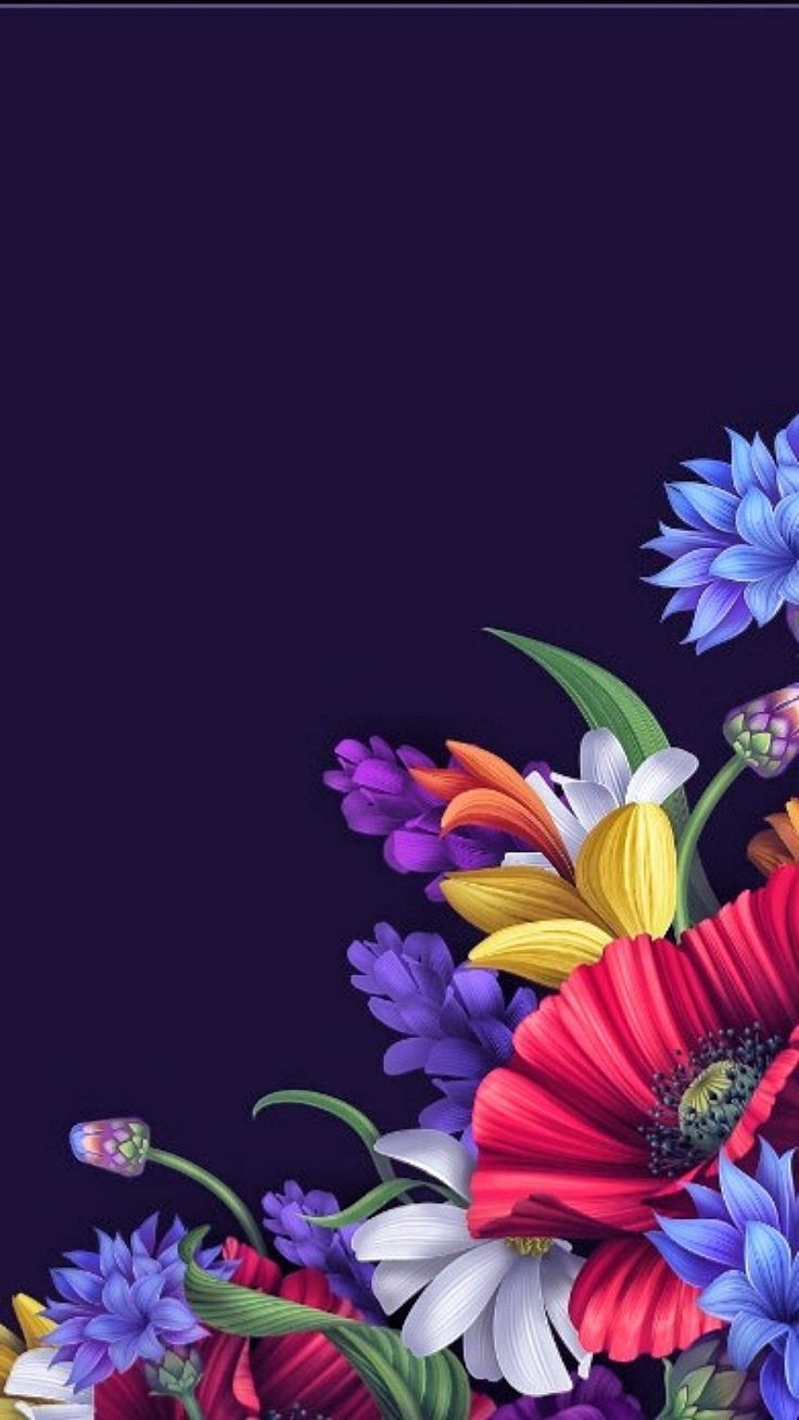 Colourful Flower Mobile Wallpapers Wallpaper Cave
