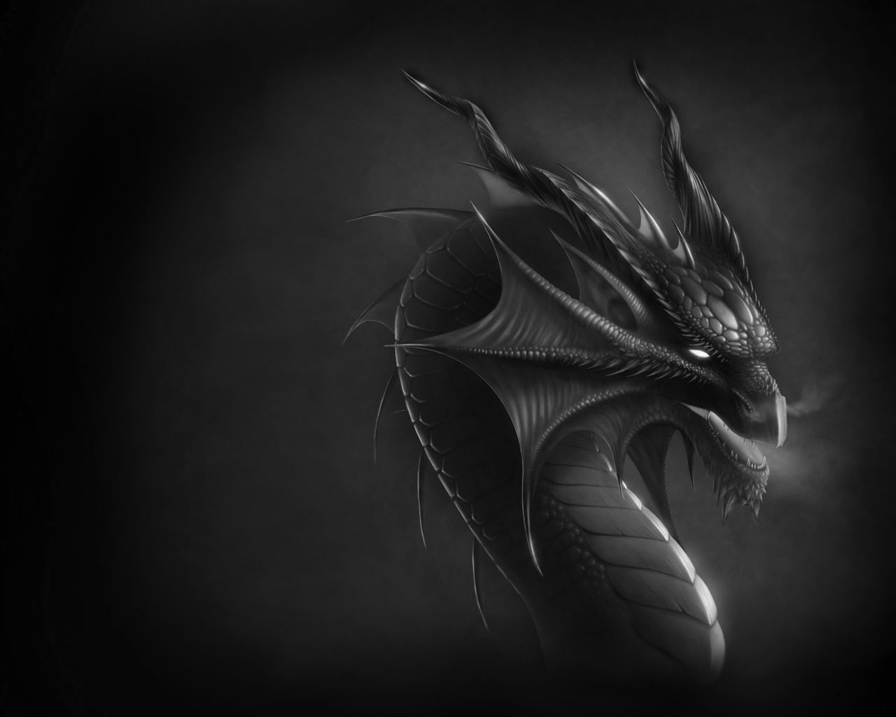 Black Dragons Wallpapers Wallpaper Cave