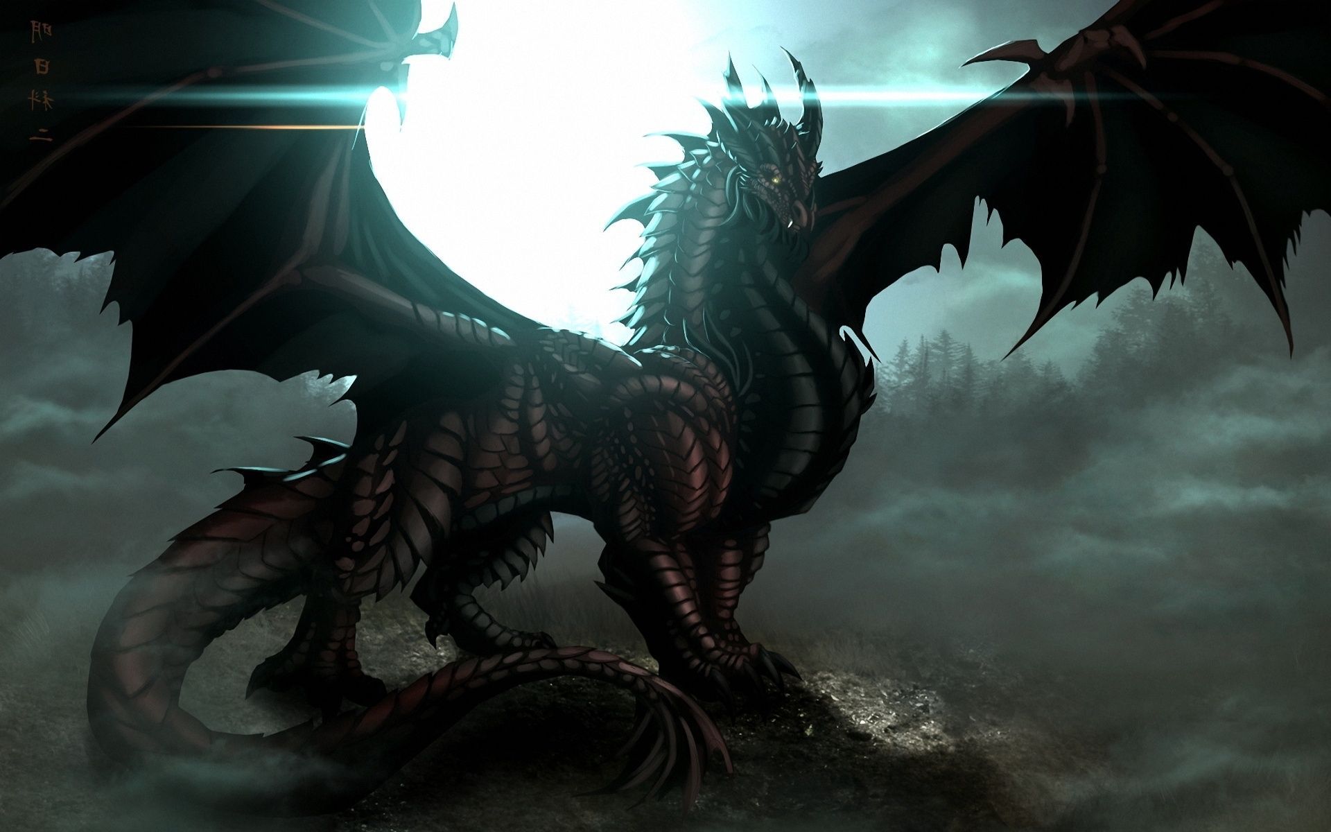 Black Dragons Wallpapers Wallpaper Cave