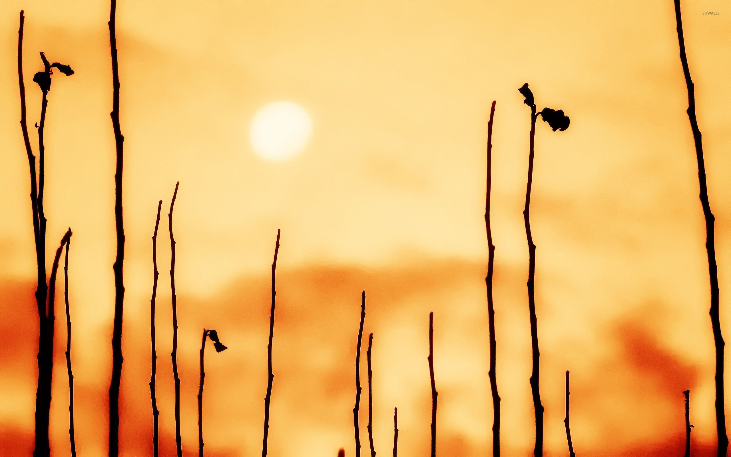 Silhouettes Wallpapers Wallpaper Cave