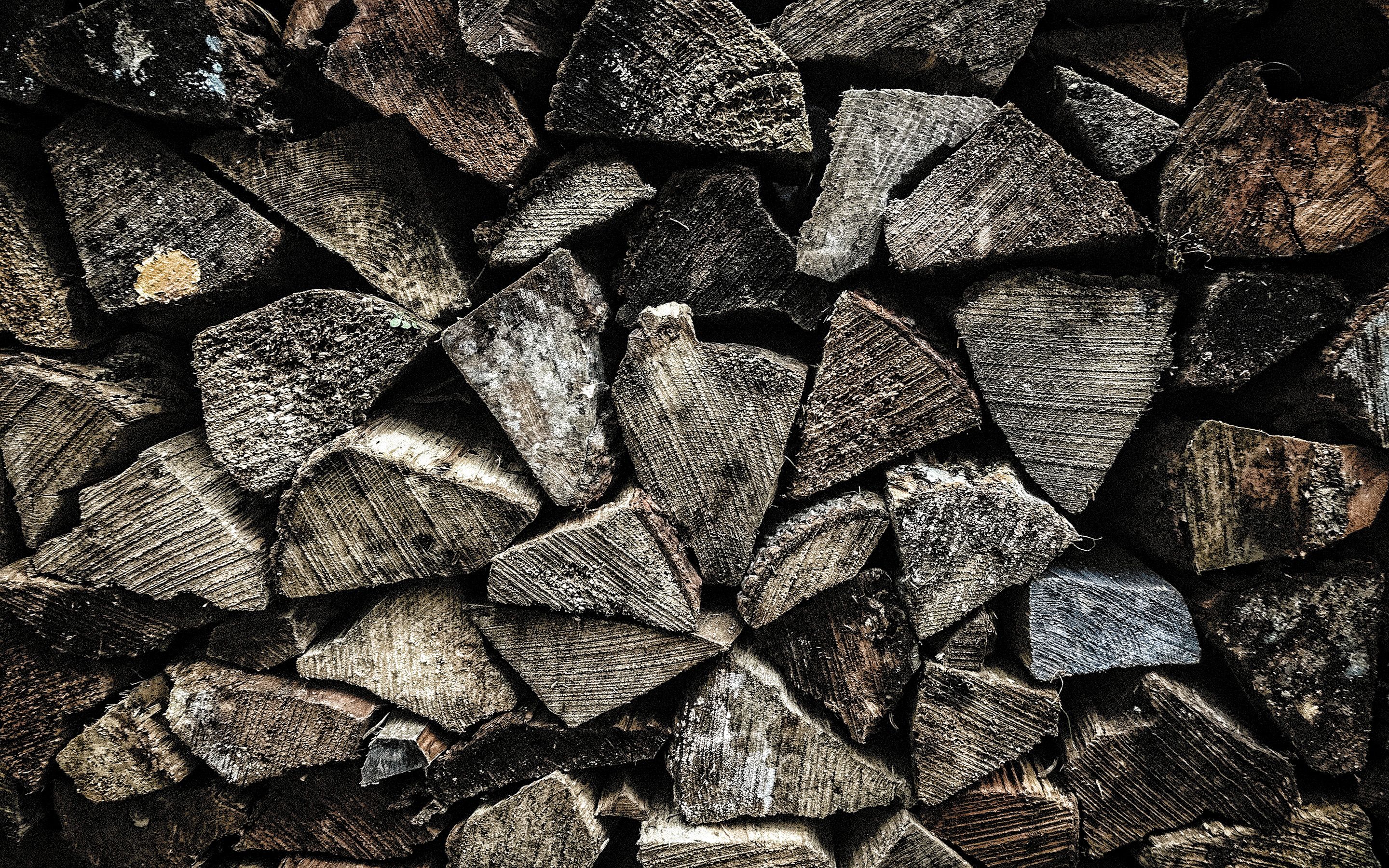 Wood Logs Wallpapers Wallpaper Cave
