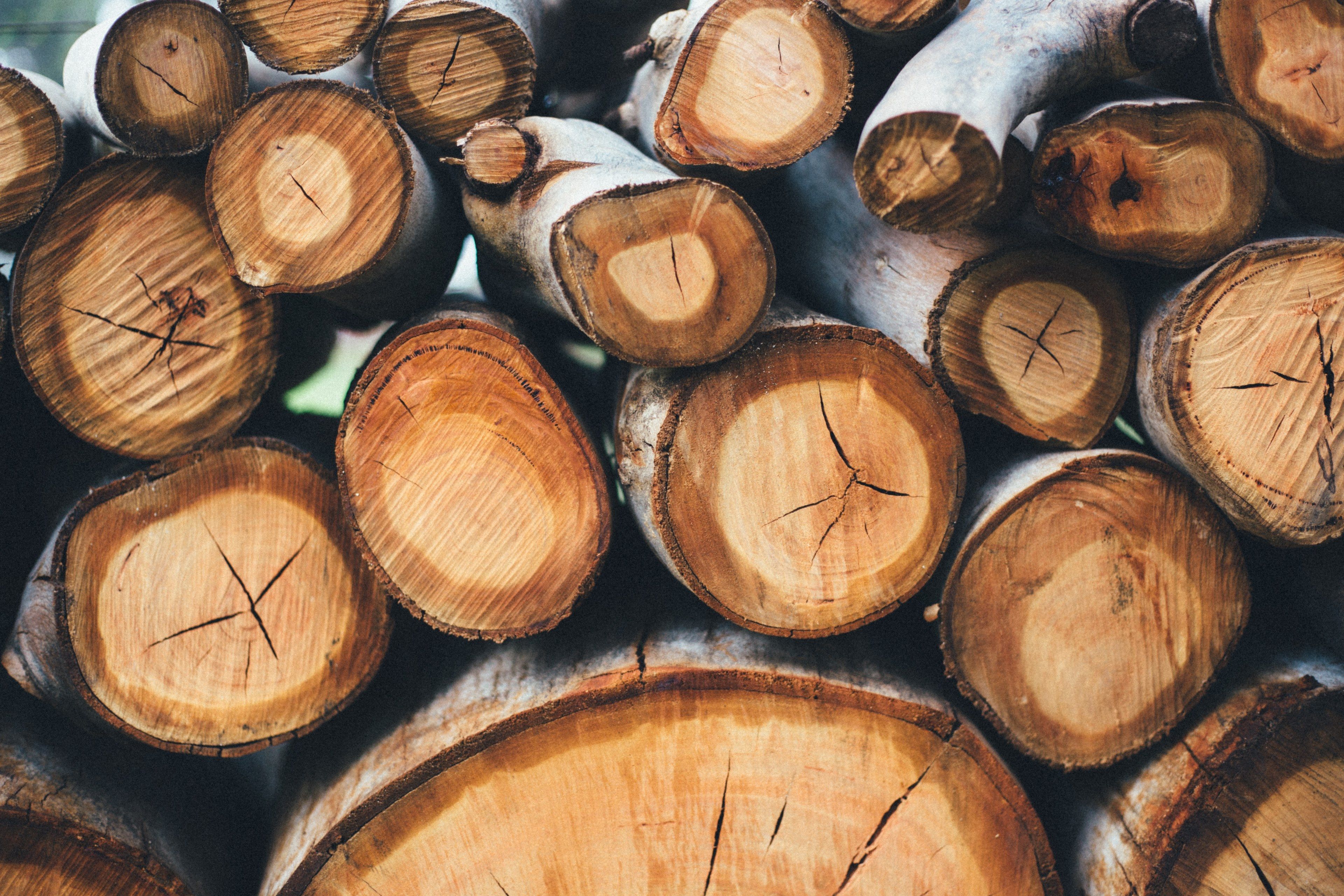 Wood Logs Wallpapers Wallpaper Cave