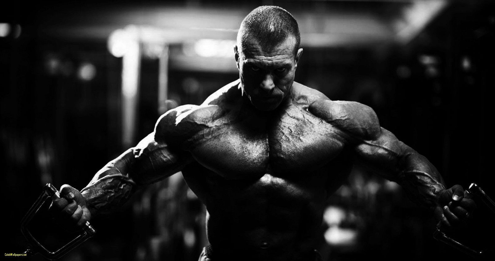 Gym Fitness Wallpapers Wallpaper Cave