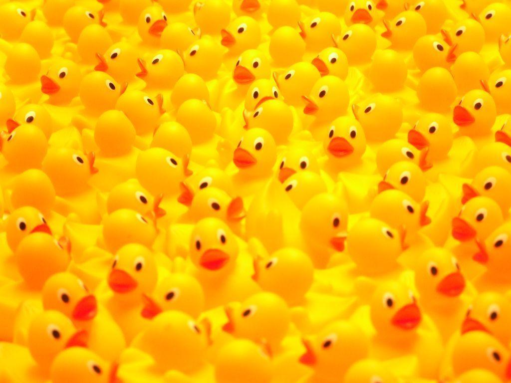 Duck Rubber Wallpapers Wallpaper Cave