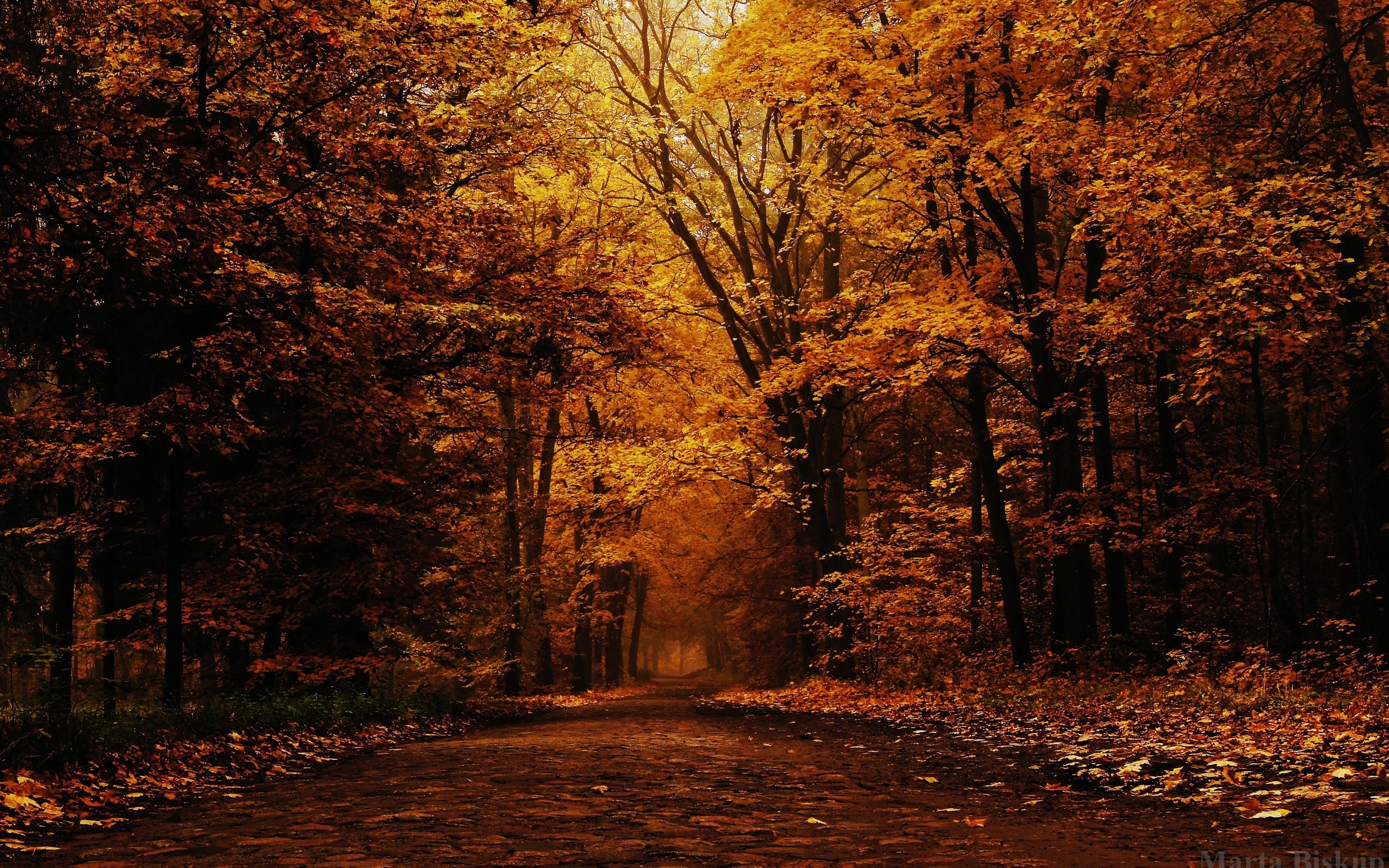 Free Vintage Autumn Wallpapers Wallpaper Cave