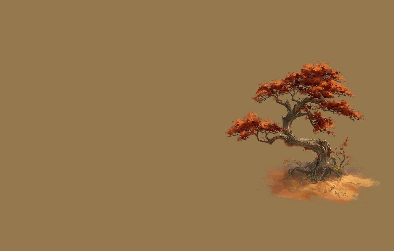 Minimalism Autumn Wallpapers Wallpaper Cave