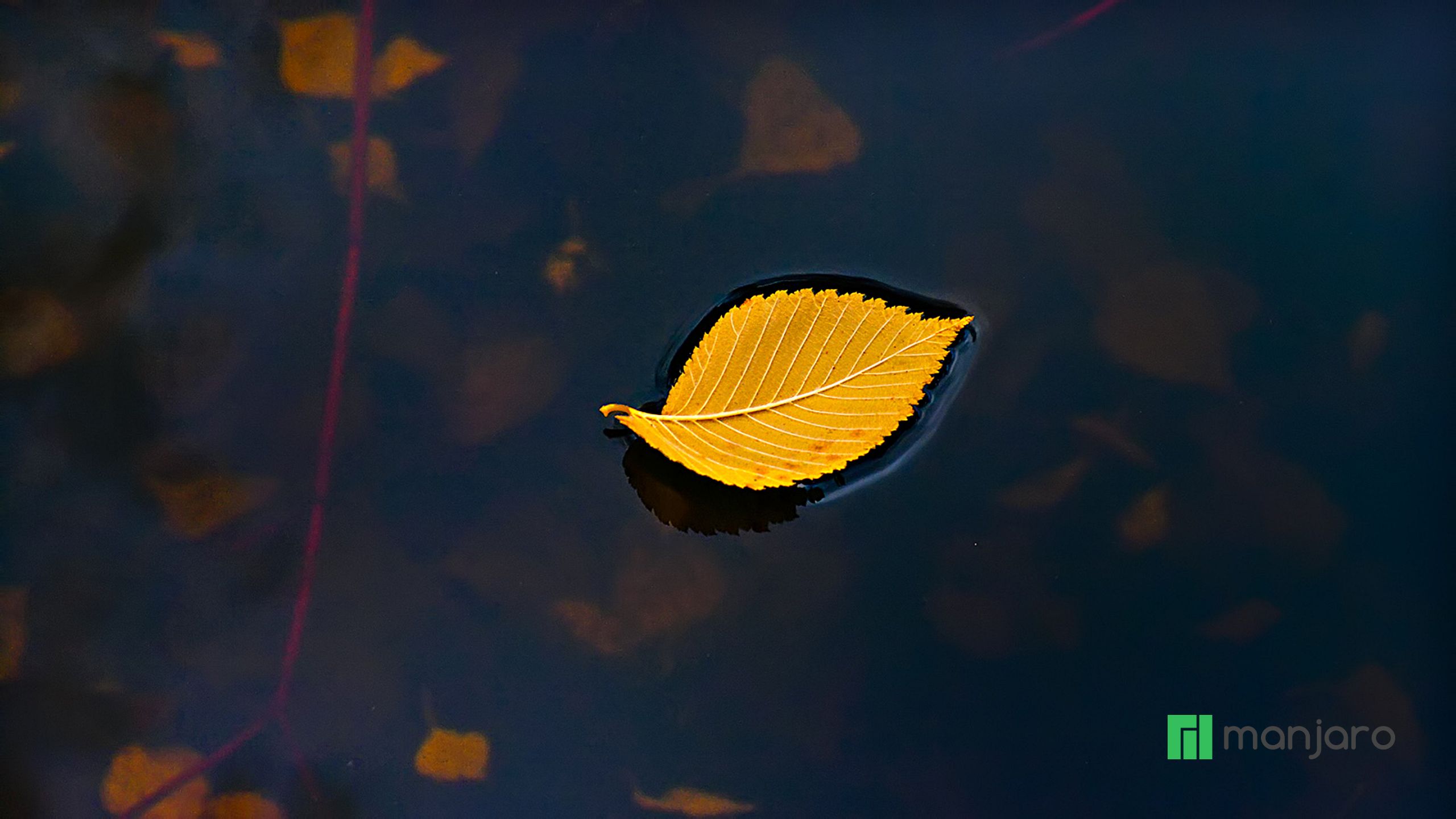 Minimalism Autumn Wallpapers Wallpaper Cave