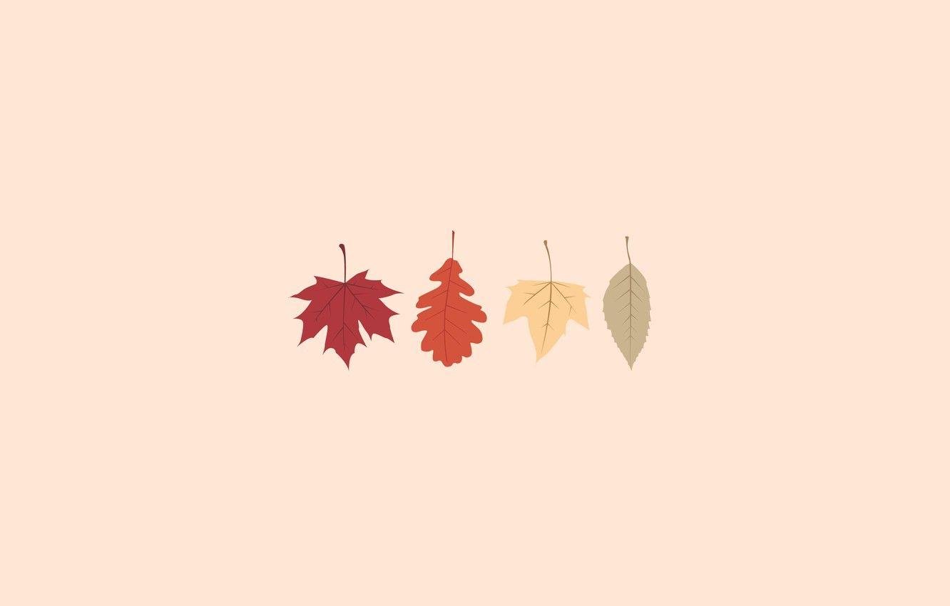 Autumn Minimal Wallpapers Wallpaper Cave