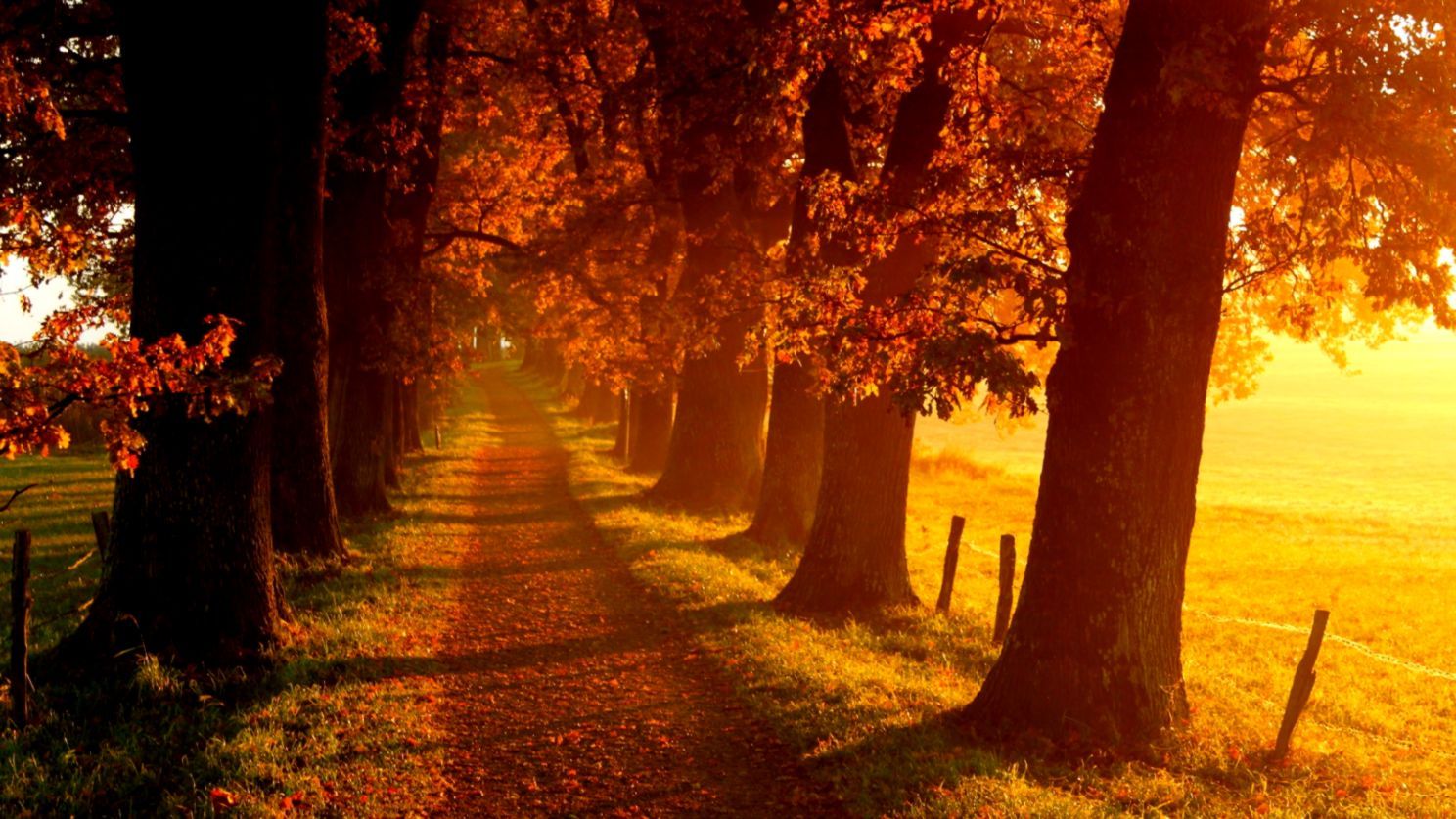 Autumn Anime Wallpapers Wallpaper Cave